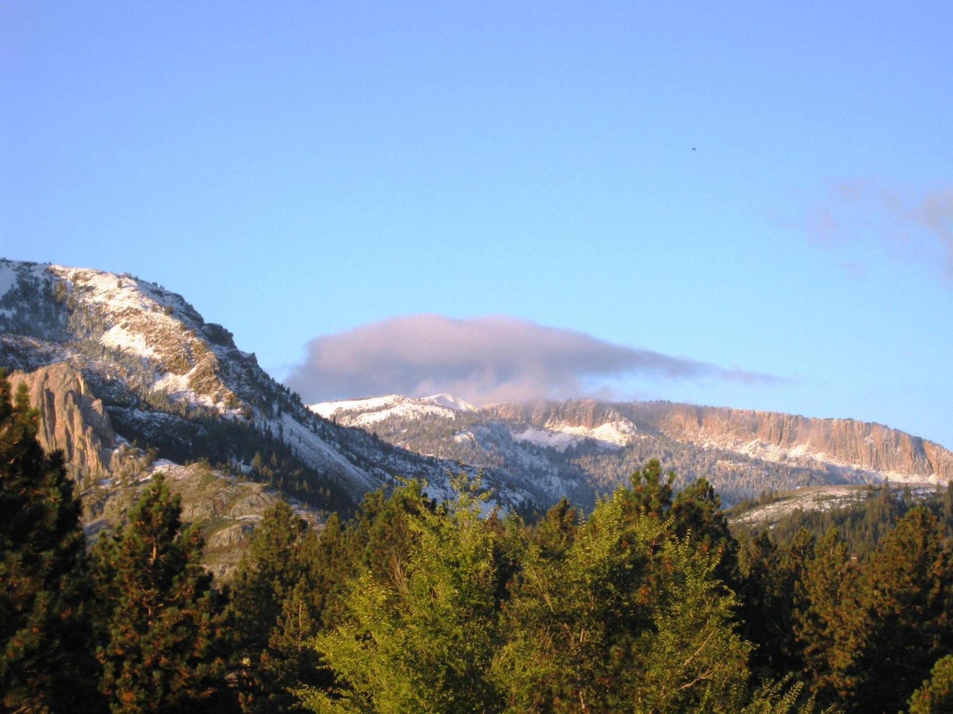 The Mammoth Creek Inn photo 4
