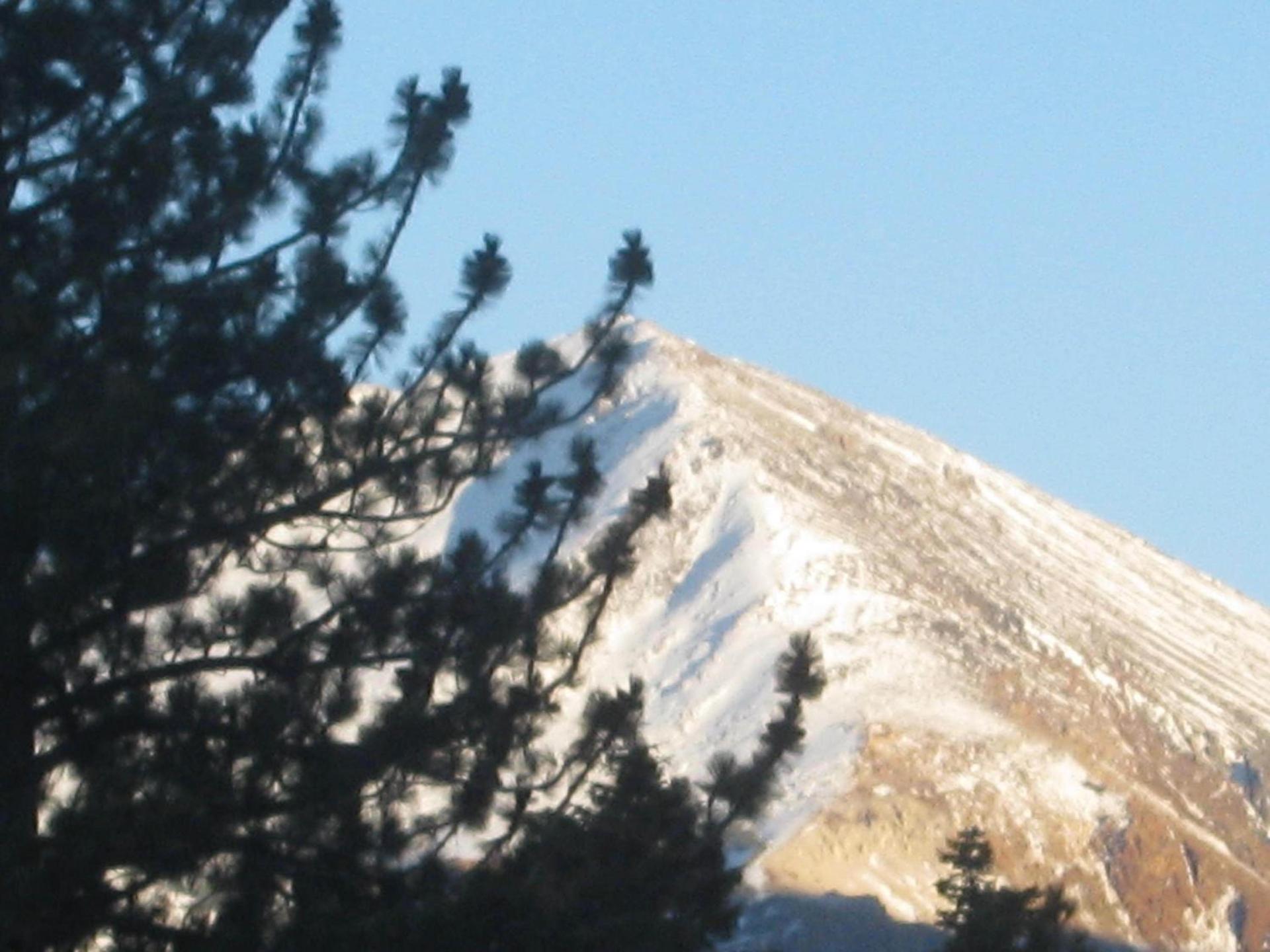 The Mammoth Creek Inn photo 6