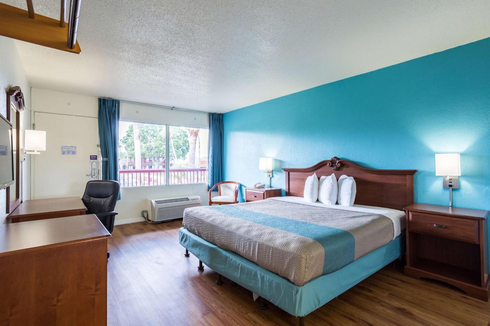 Motel 6-Spring Hill, FL - Weeki Wachee photo 72