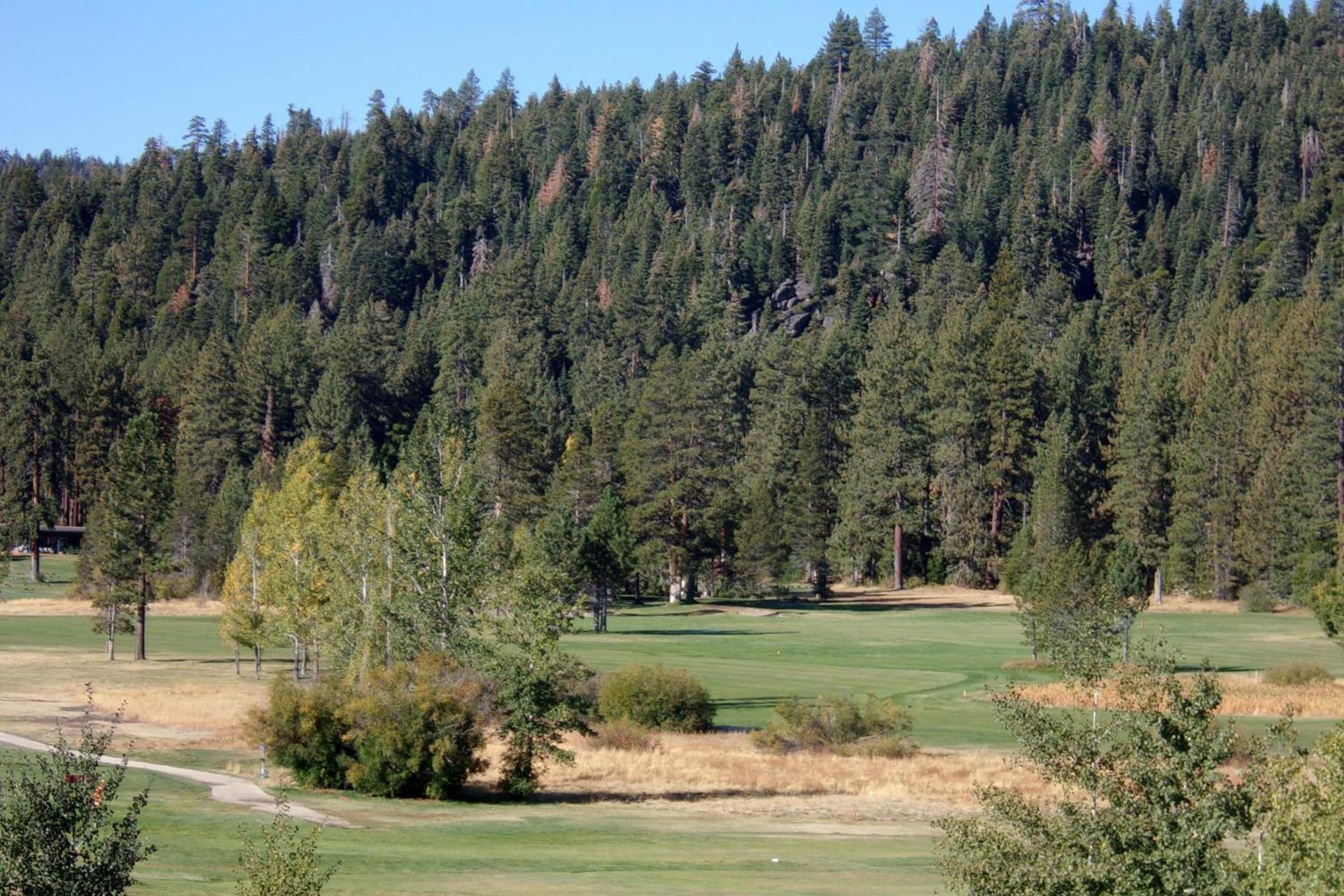 Pepper Tree Inn Tahoe City photo 28