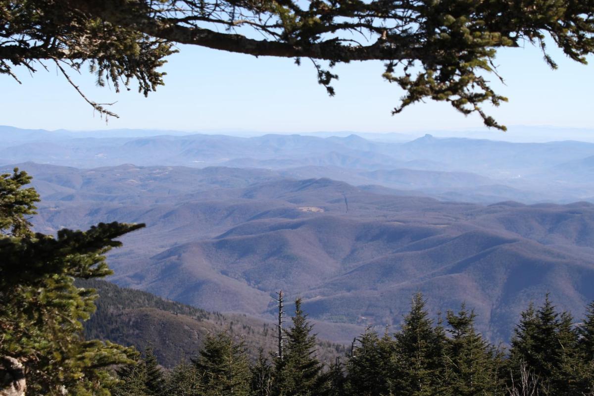 Mt Mitchell Cabin Rentals photo 19