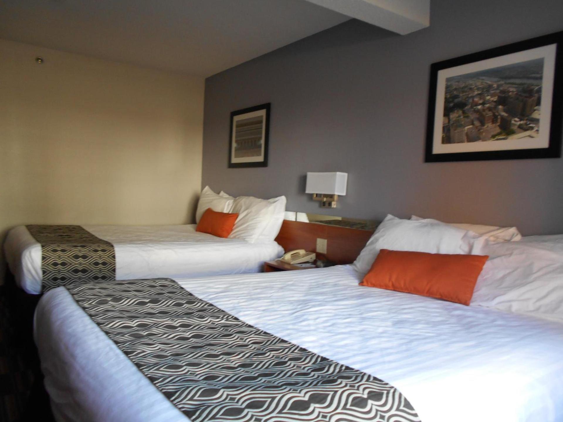 Microtel Inn by Wyndham - Albany Airport photo 46