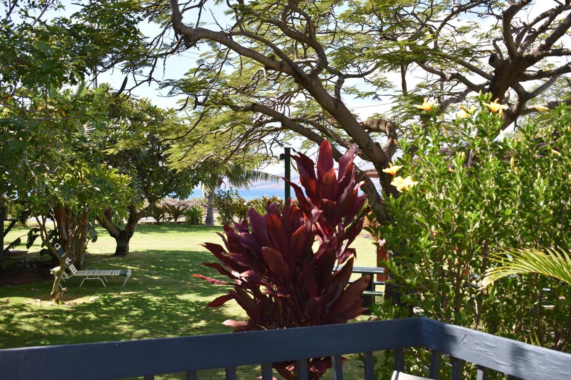 Nona Lani Cottages photo 21