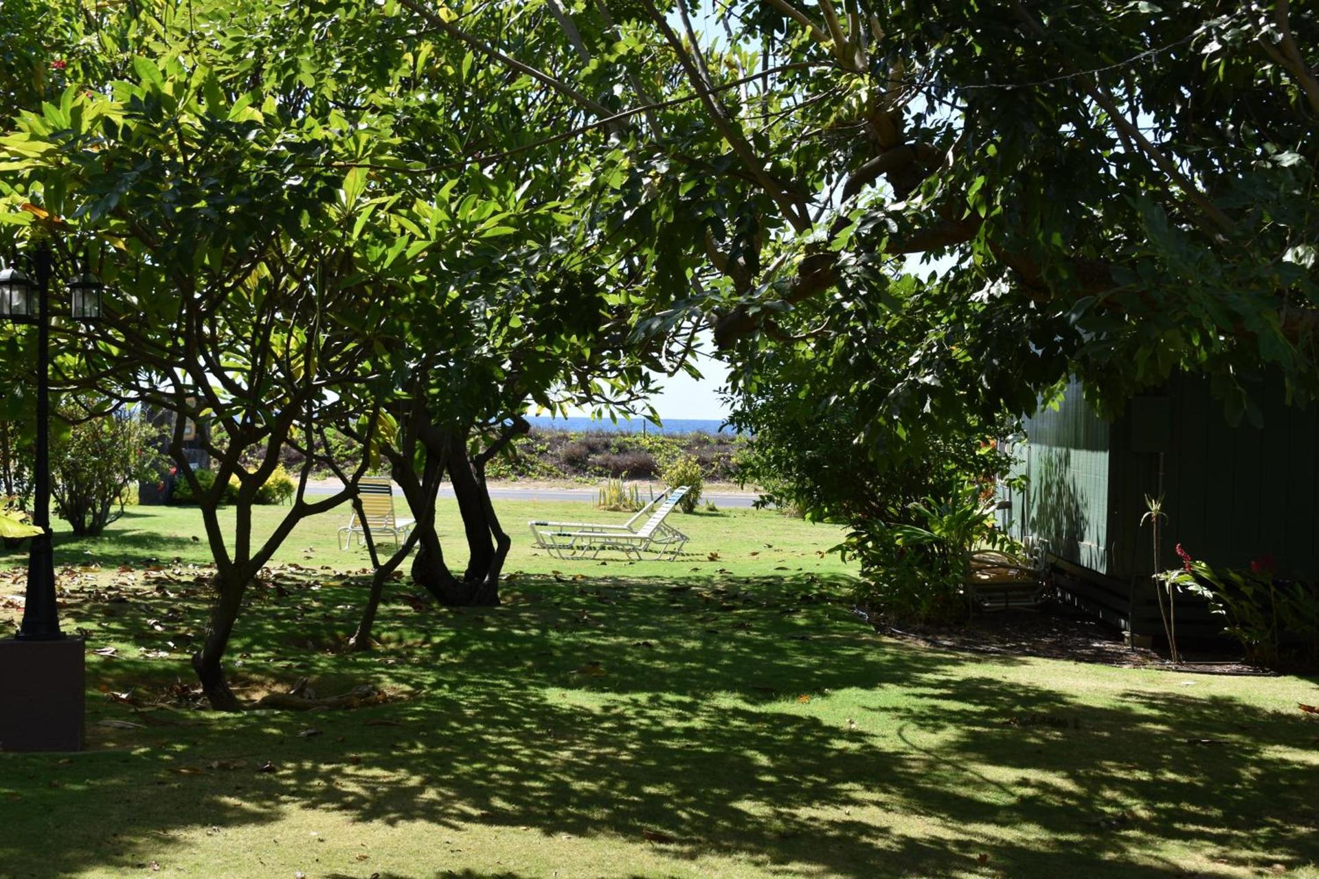 Nona Lani Cottages photo 22
