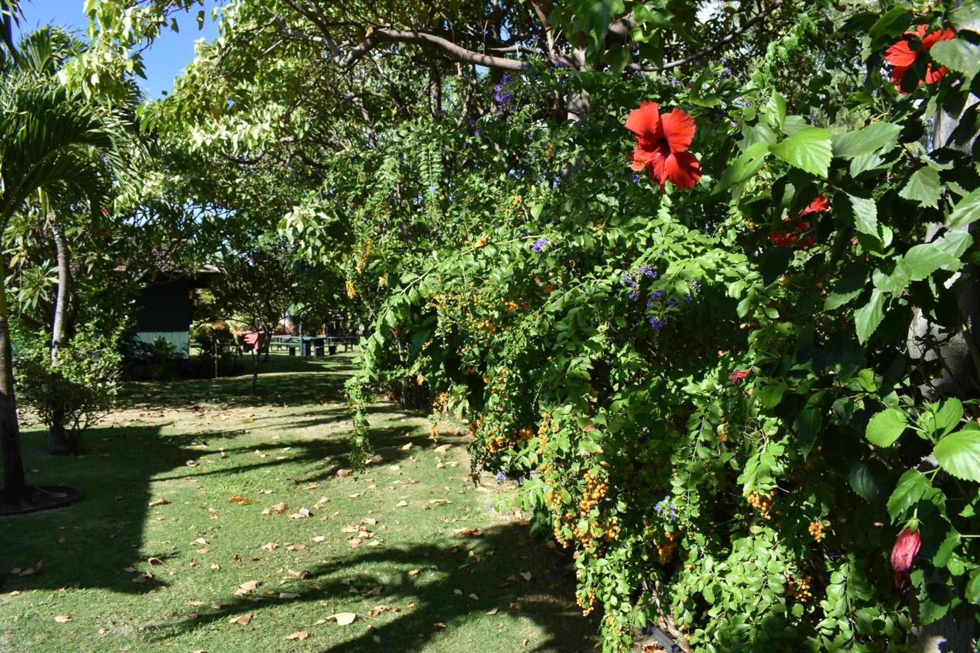 Nona Lani Cottages photo 26