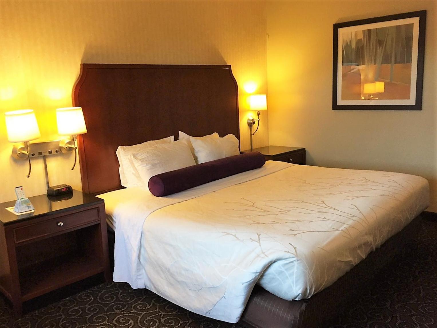 The Black Mountain Inn photo 40