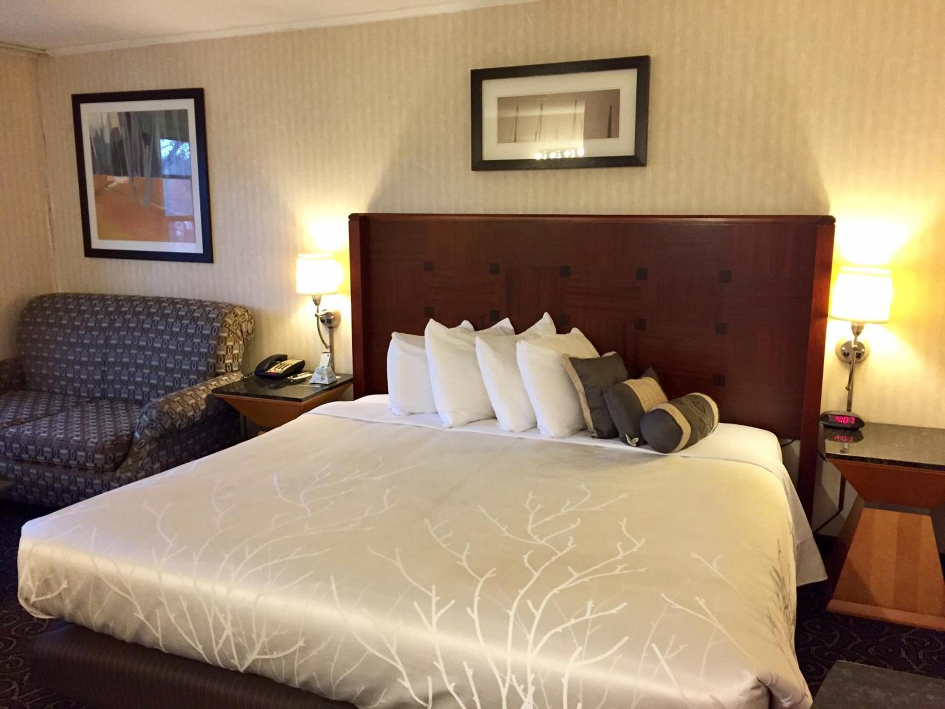 The Black Mountain Inn photo 21