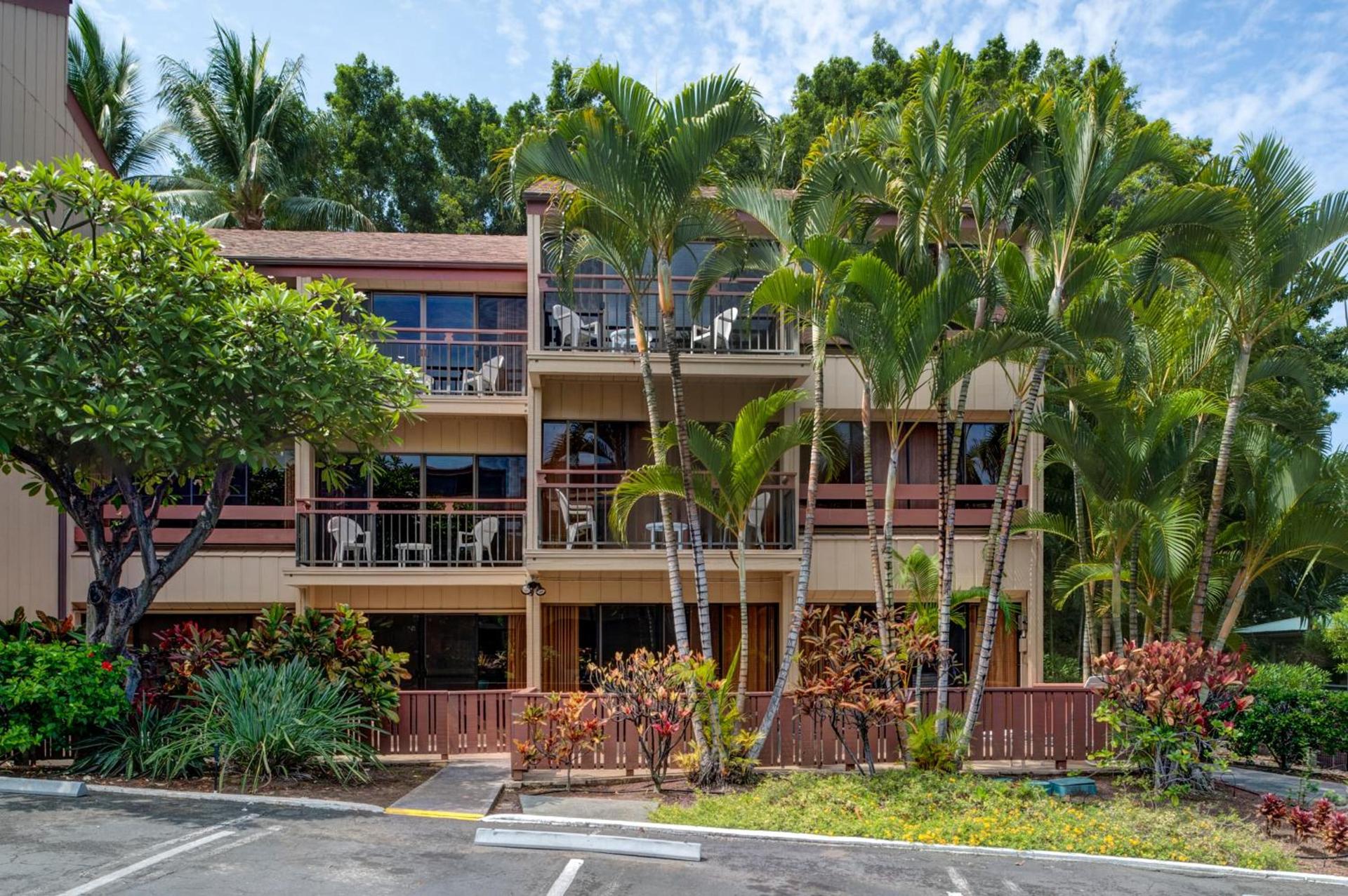 The Kona Billfisher photo 5