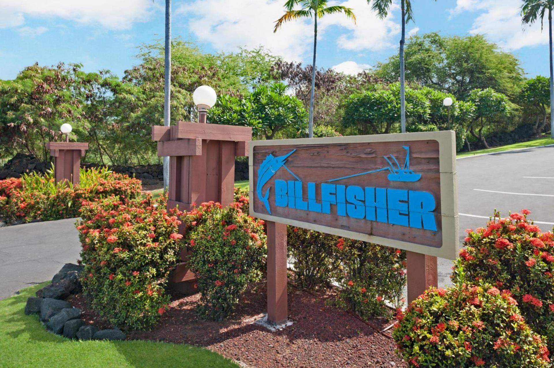 The Kona Billfisher photo 16
