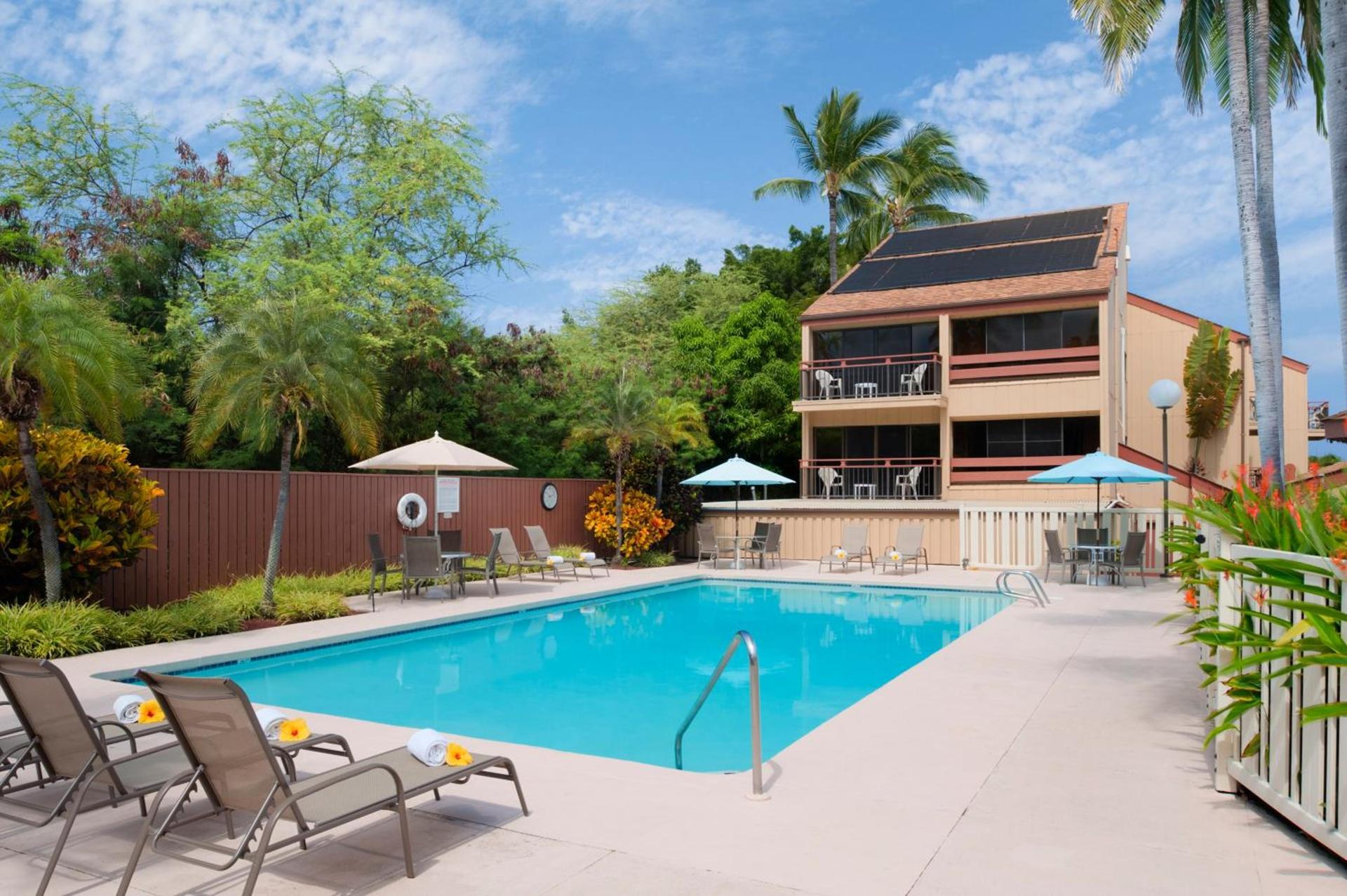 The Kona Billfisher photo 3