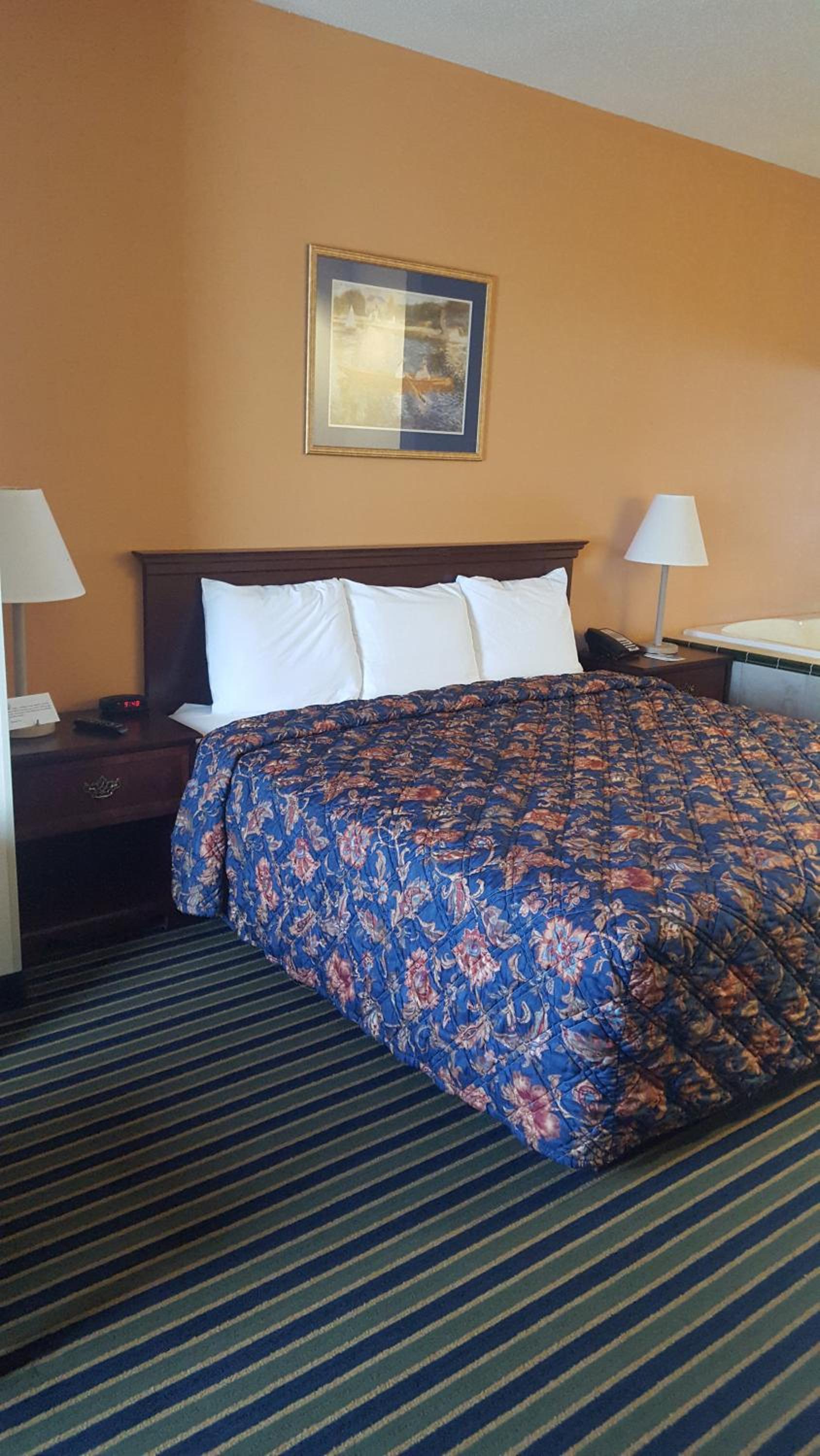 The Rutledge Inn photo 20