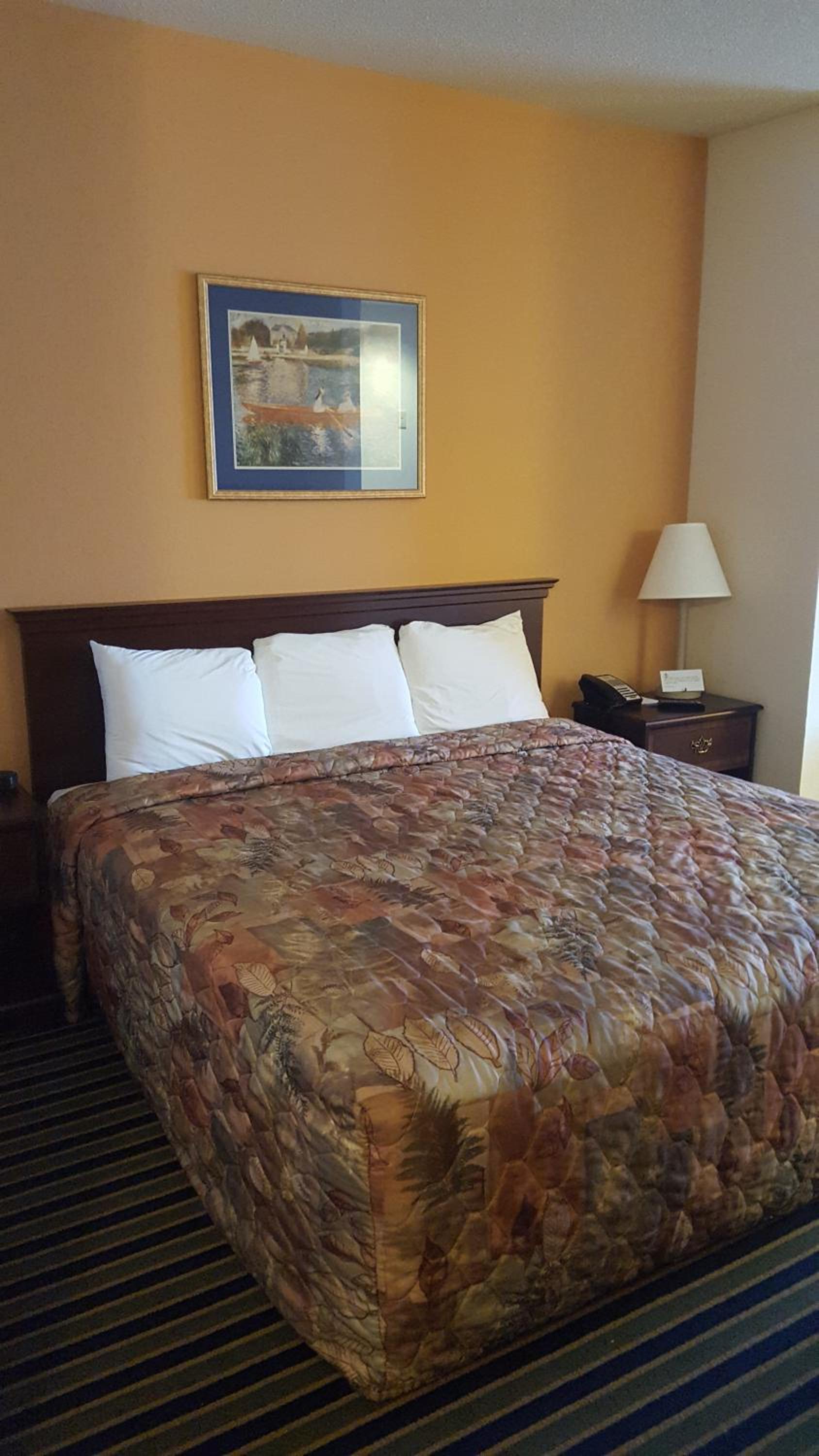 The Rutledge Inn photo 11