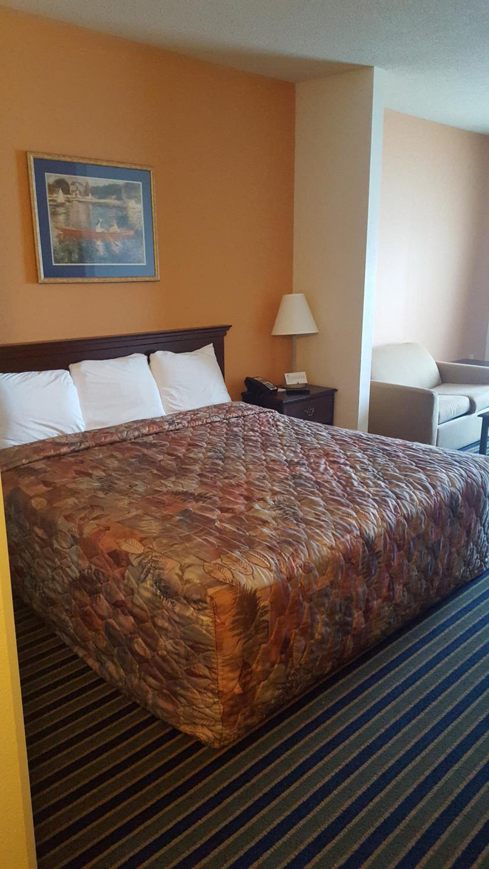 The Rutledge Inn photo 22