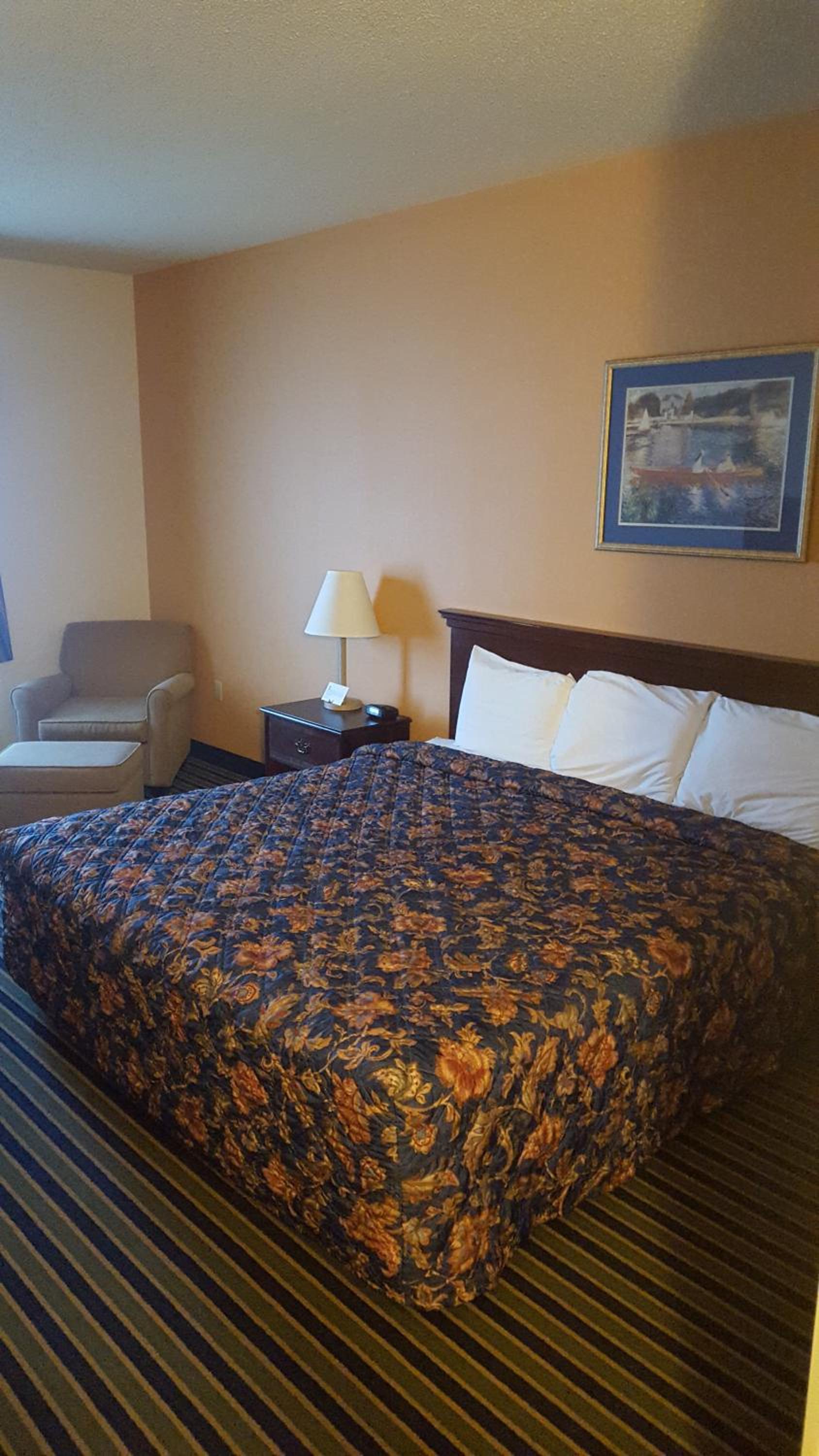 The Rutledge Inn photo 10