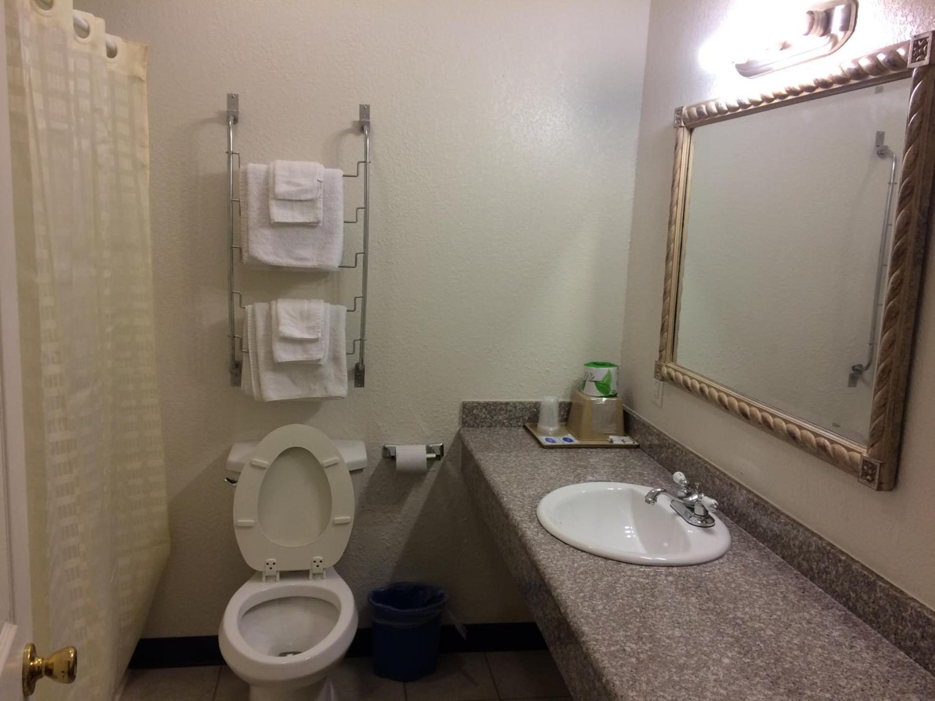 Country Regency Inn & Suites photo 8