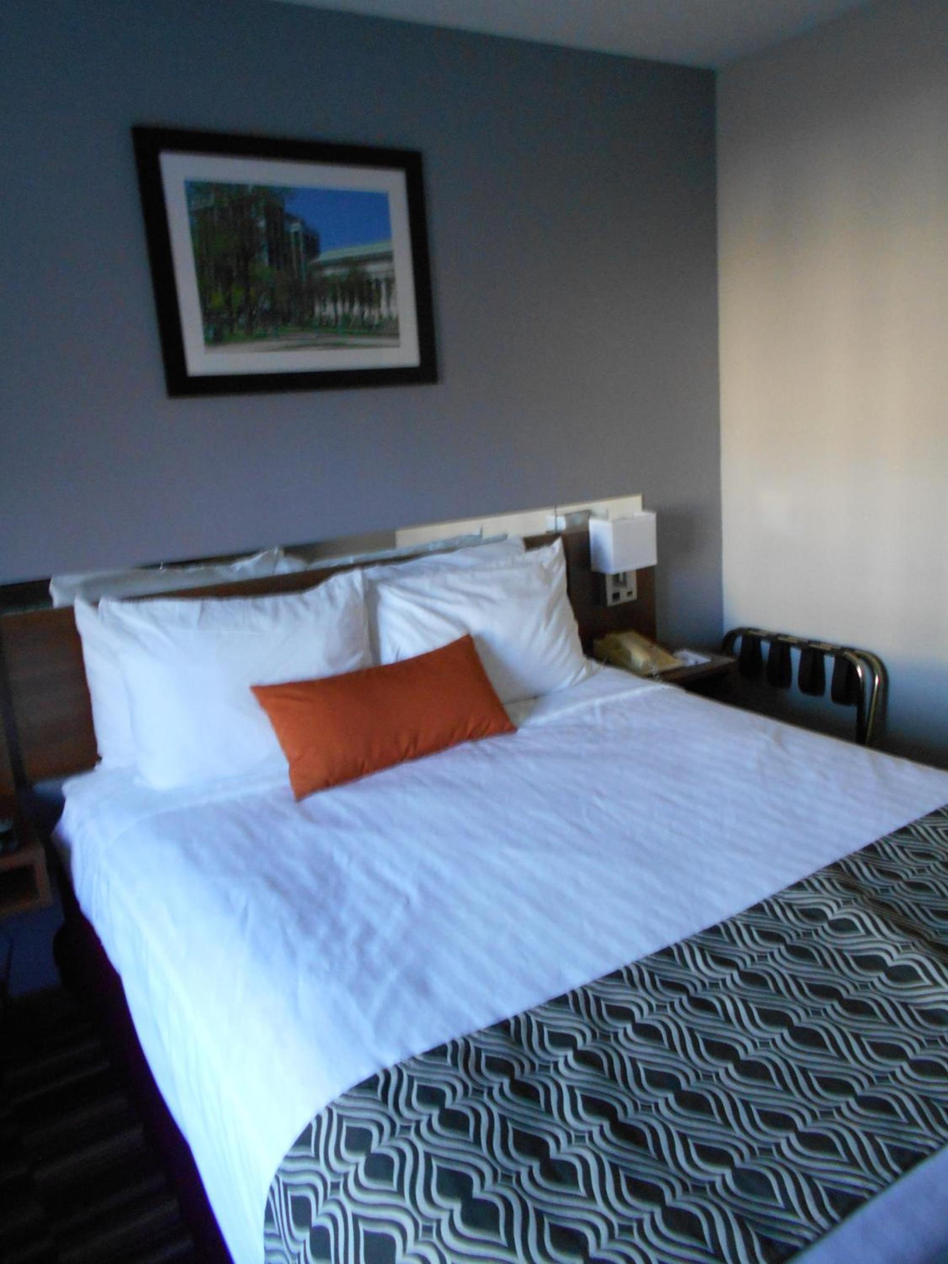 Microtel Inn by Wyndham - Albany Airport photo 39