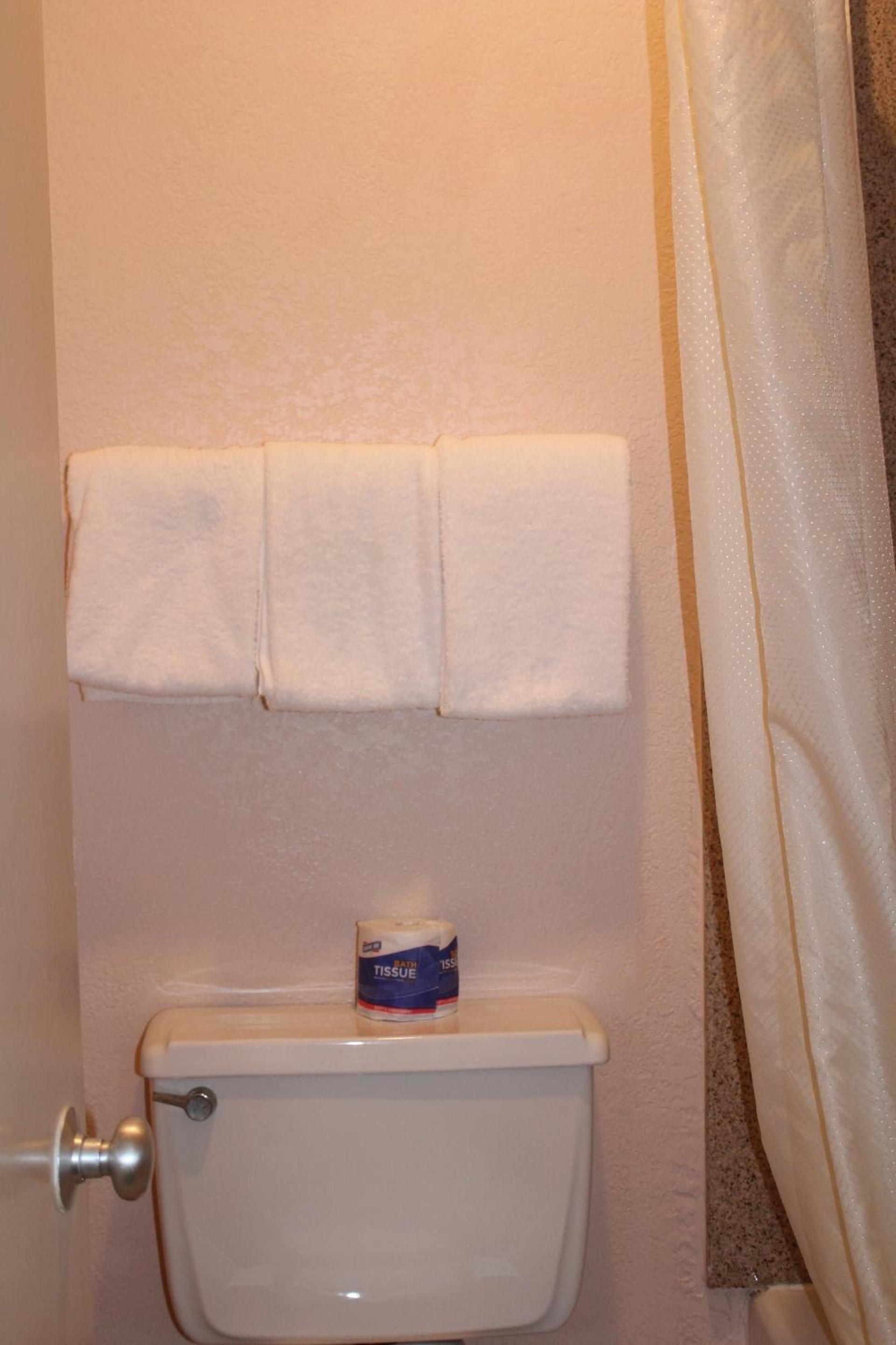 Americas Best Value Inn-Near NRG Park/Medical Center photo 48
