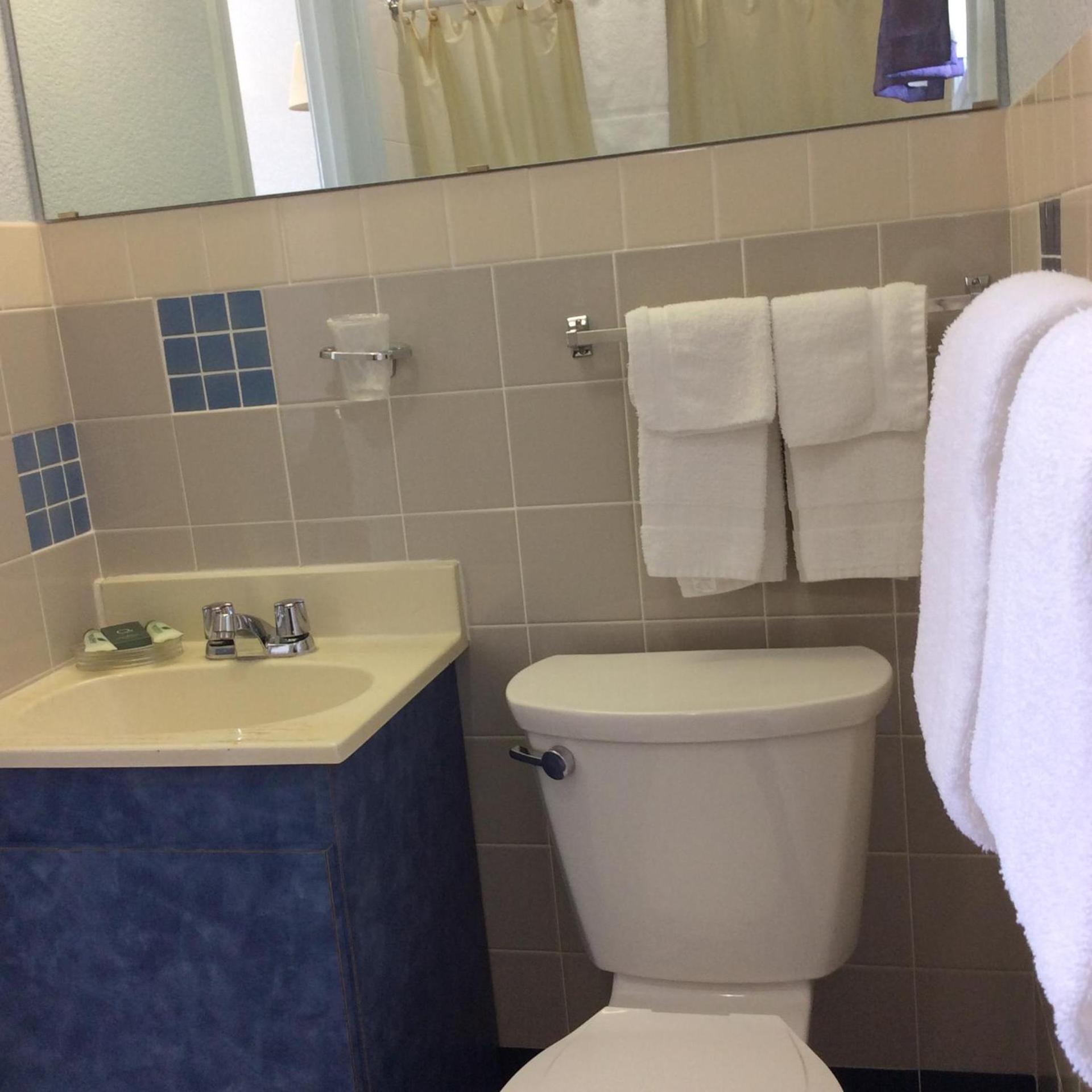 Regency Inn Comanche photo 4