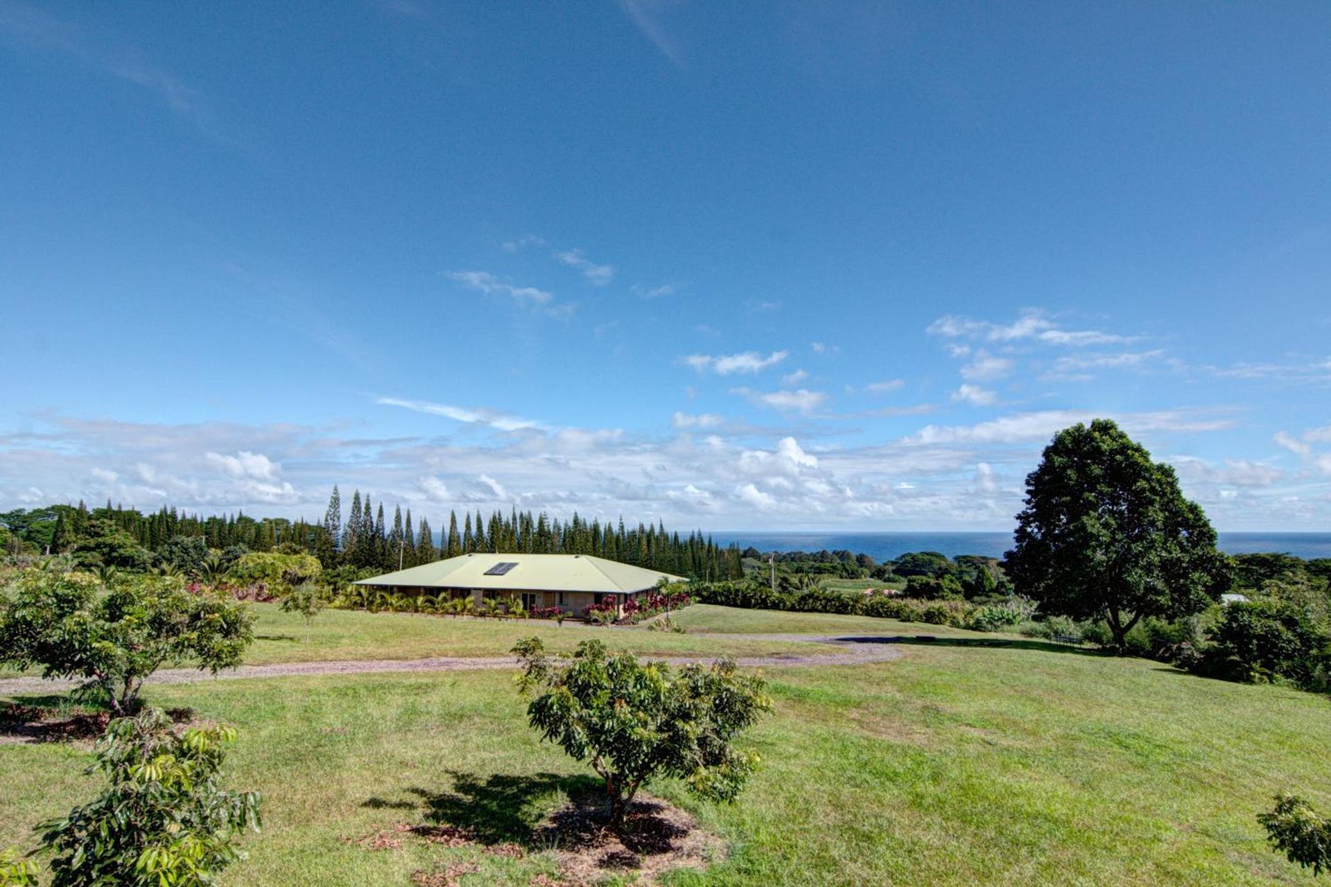 Mahana House Country Inn photo 7
