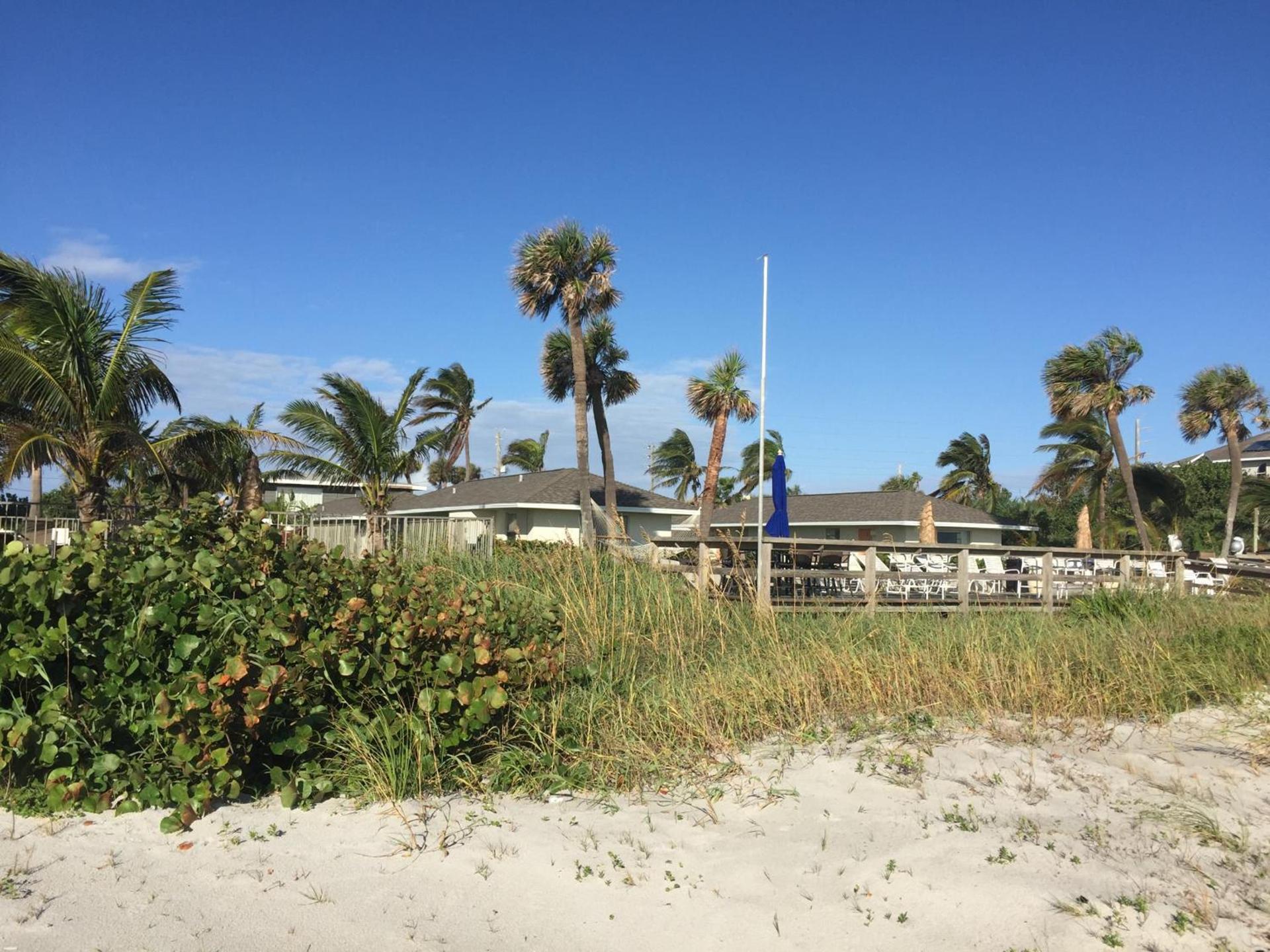 Surf Studio Beach Resort photo 1