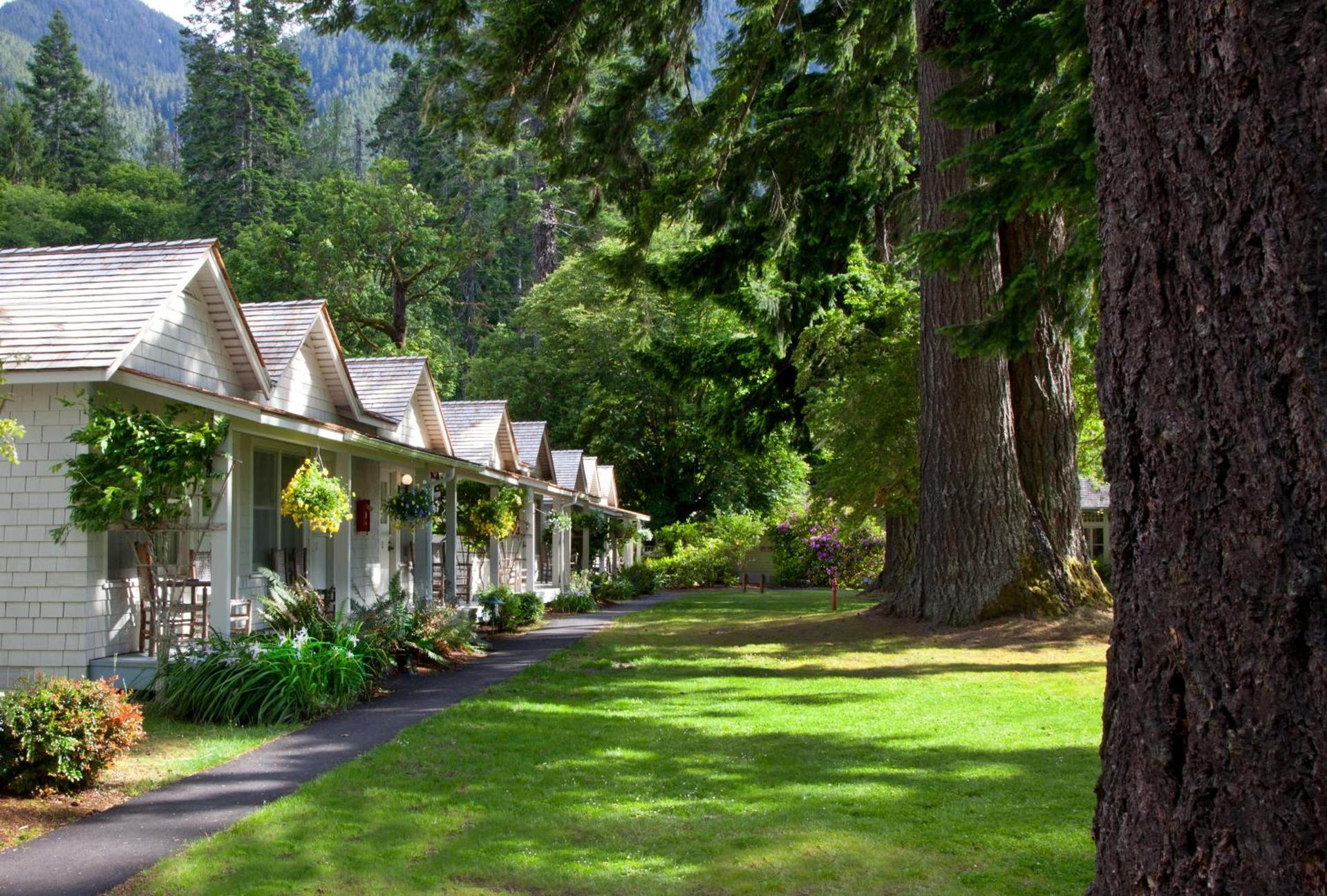 Lake Crescent Lodge photo 30