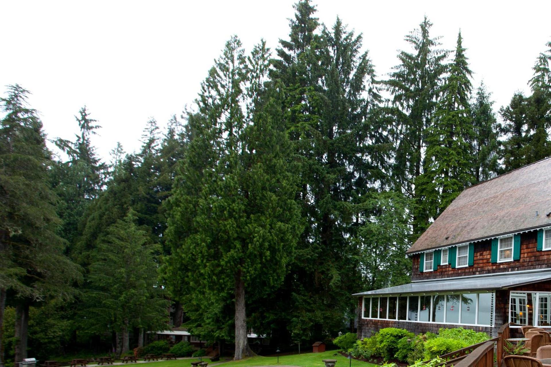 Lake Quinault Lodge photo 19