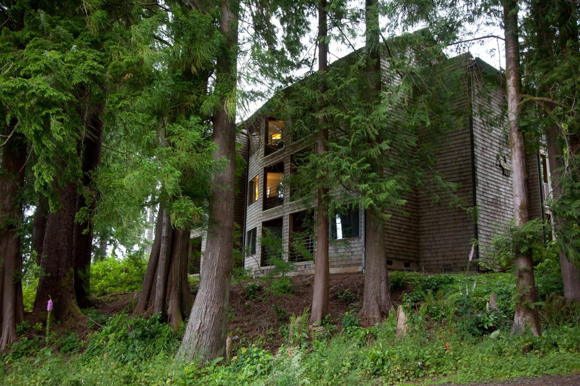 Lake Quinault Lodge photo 35