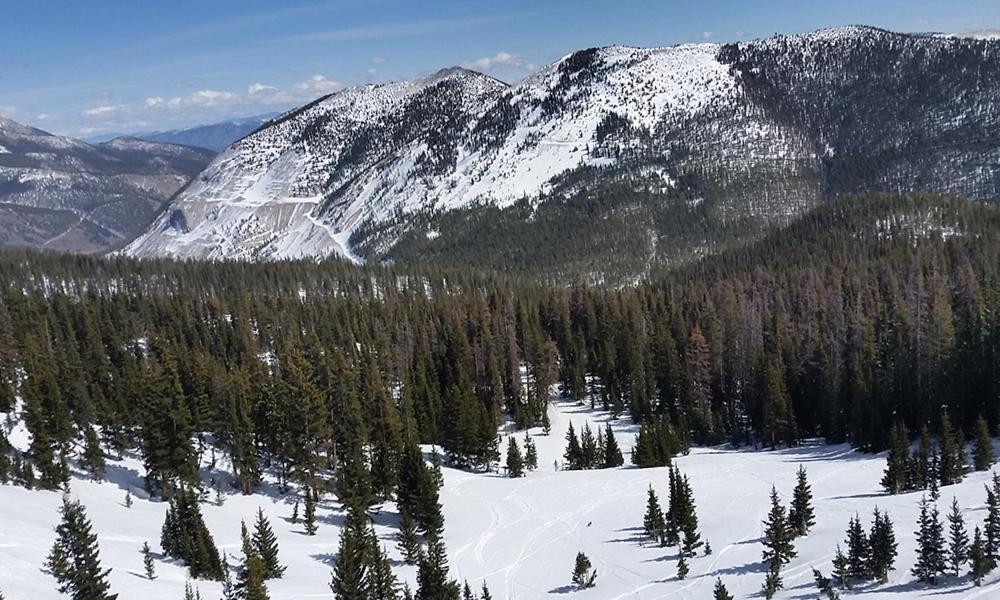 Monarch Mountain Lodge photo 22