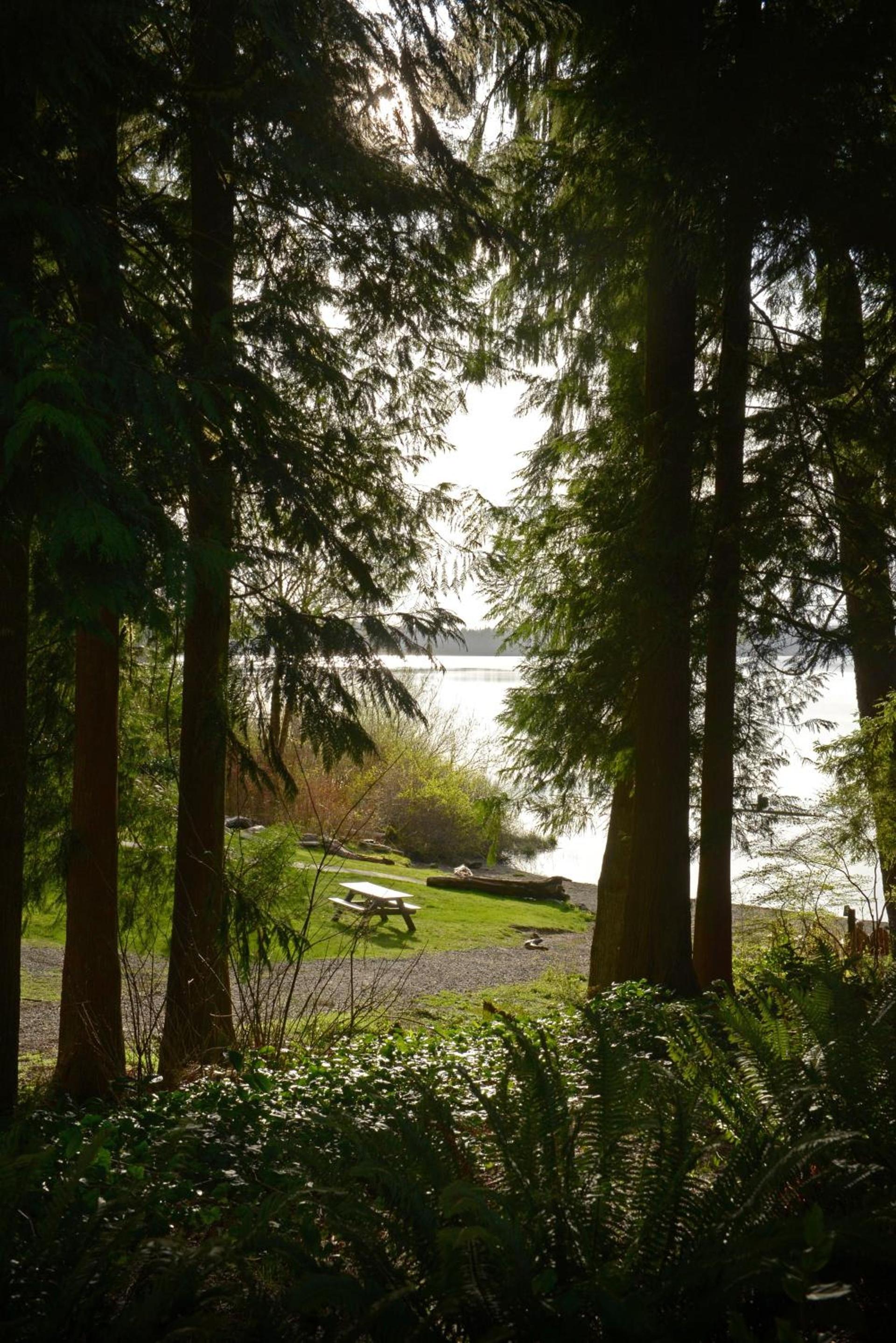Lake Quinault Lodge photo 40