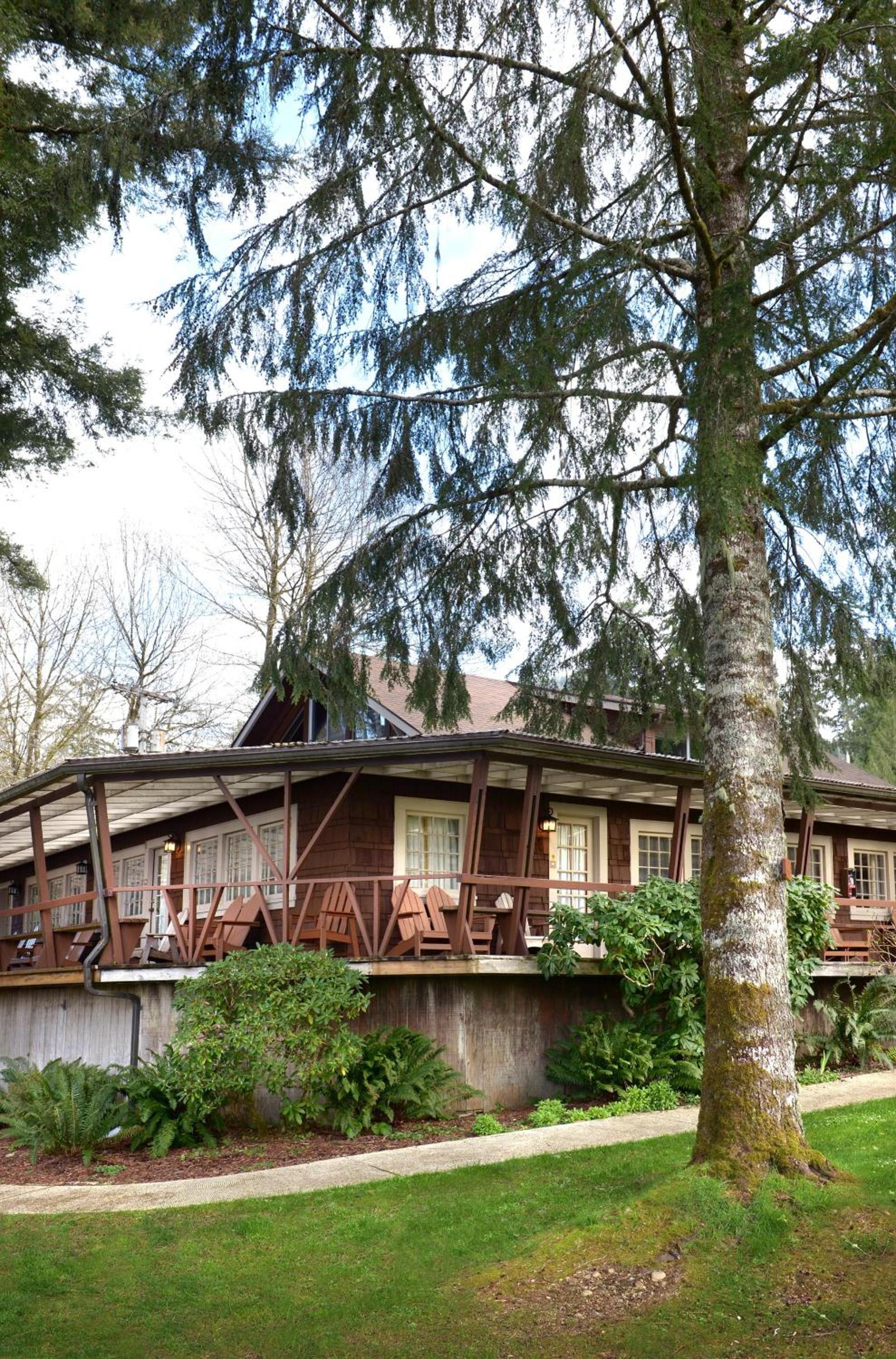 Lake Quinault Lodge photo 50