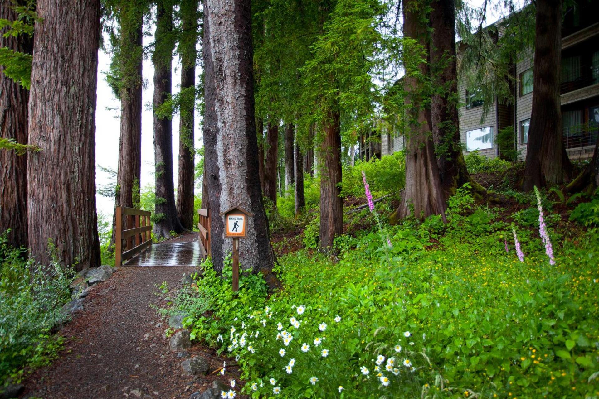 Lake Quinault Lodge photo 14