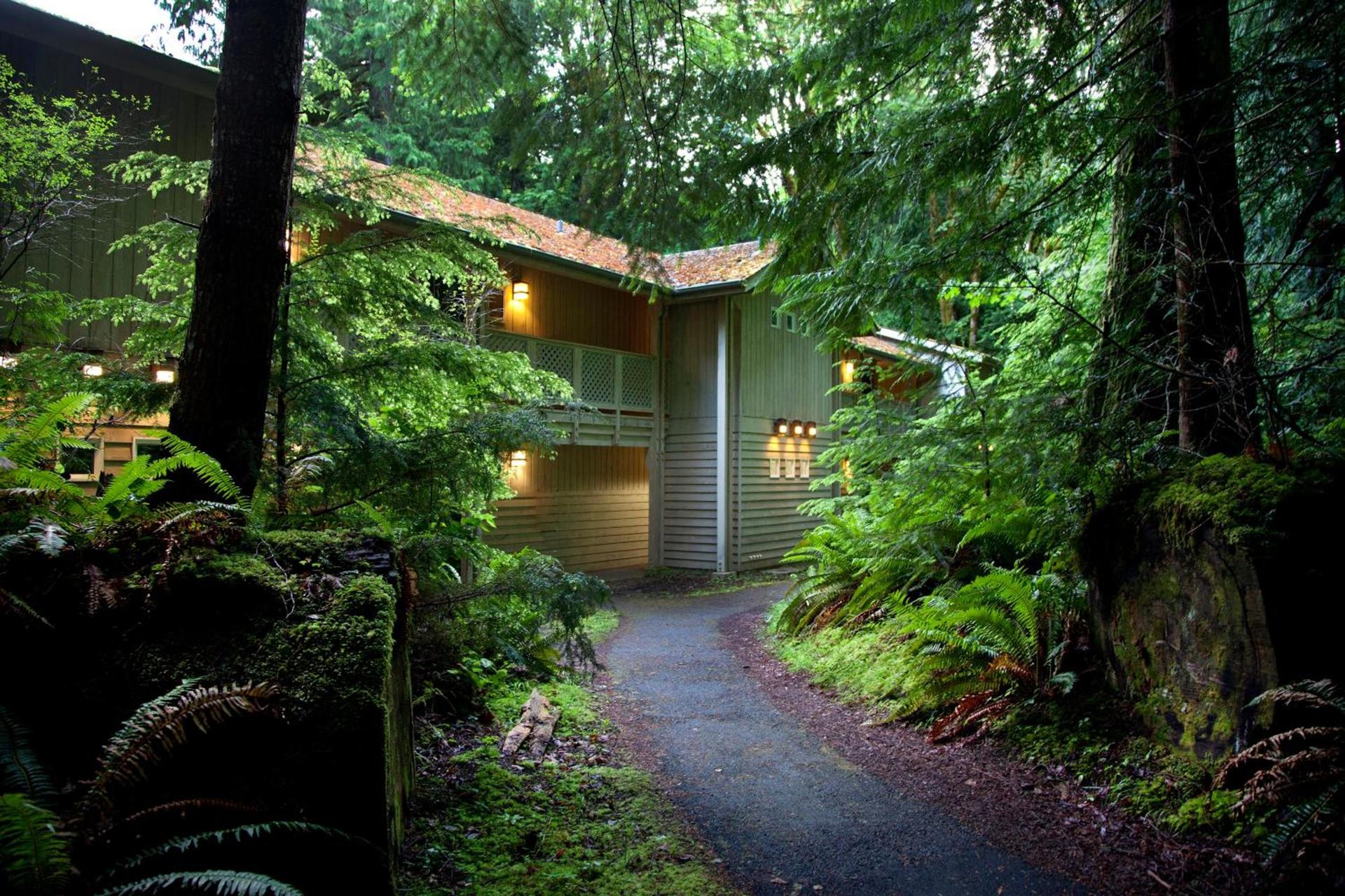 Lake Crescent Lodge photo 11