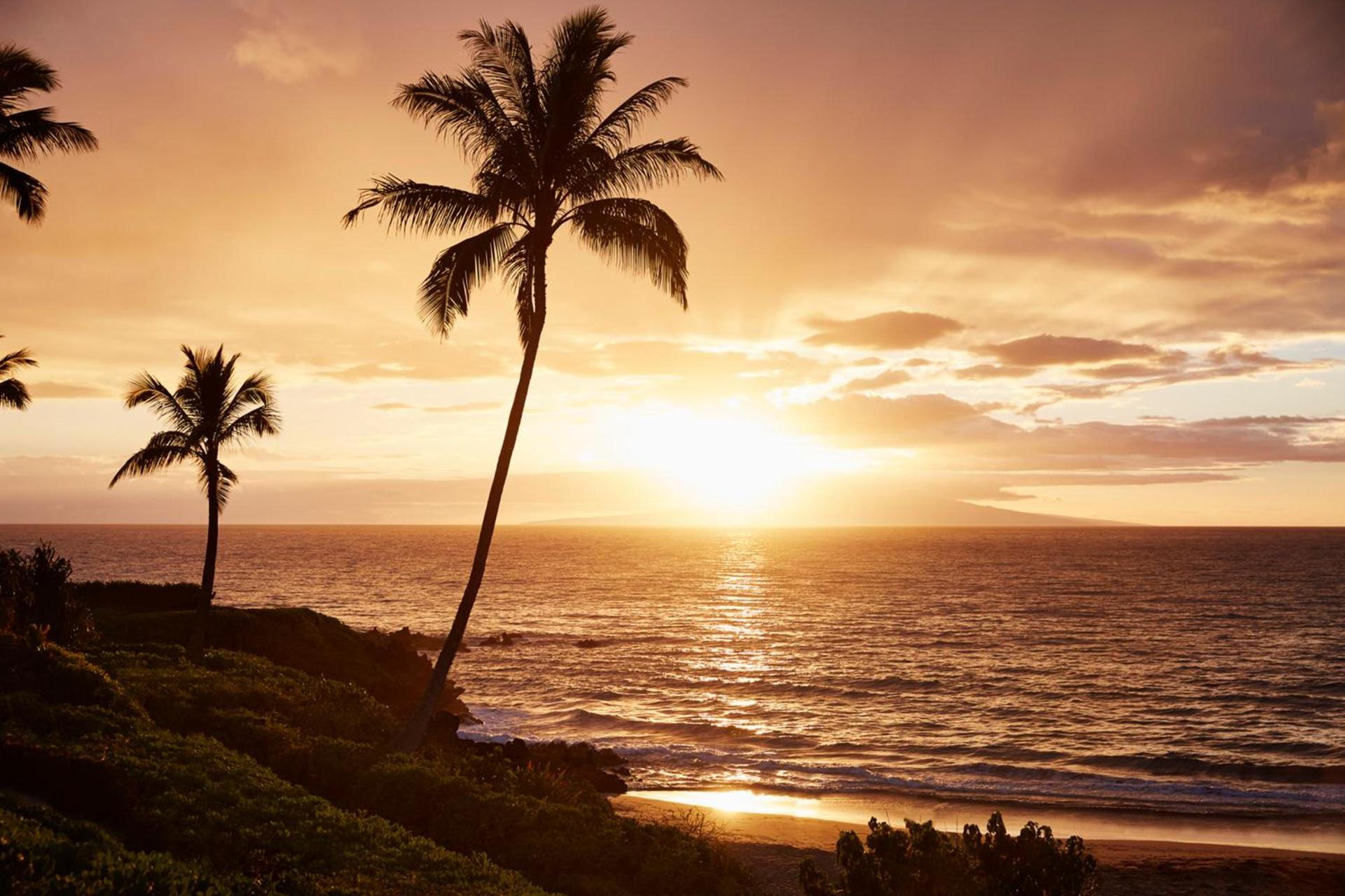 Four Seasons Resort Maui at Wailea photo 23