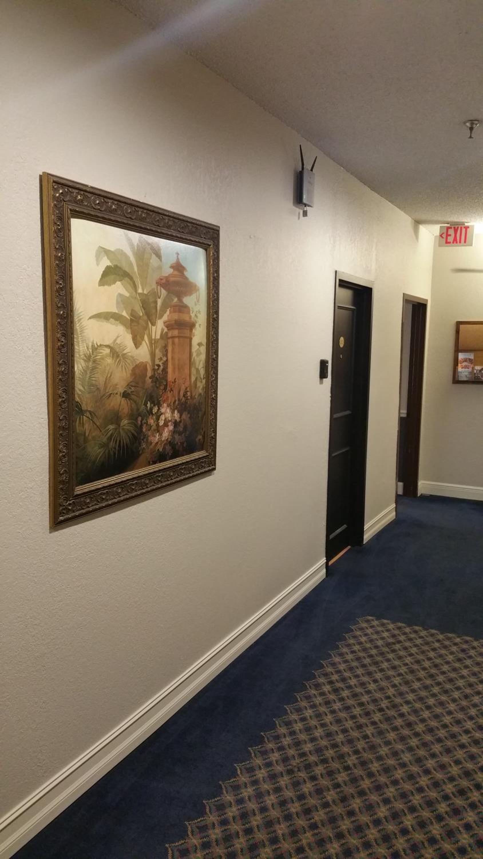 Hyde Park Hotel photo 8