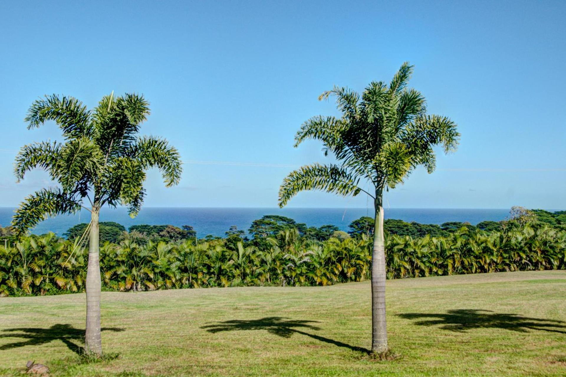 Mahana House Country Inn photo 3