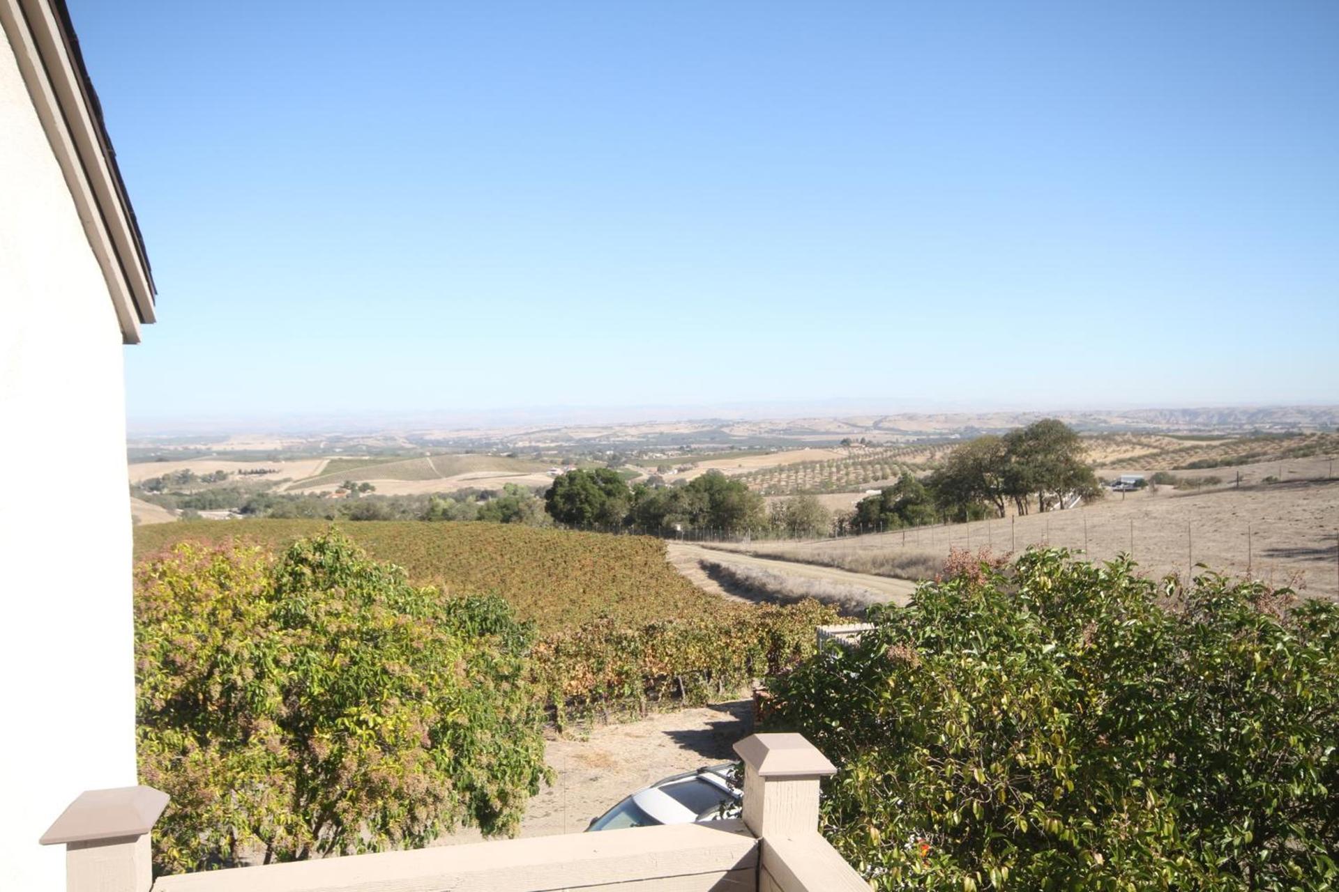 The Eden House Vineyard photo 75