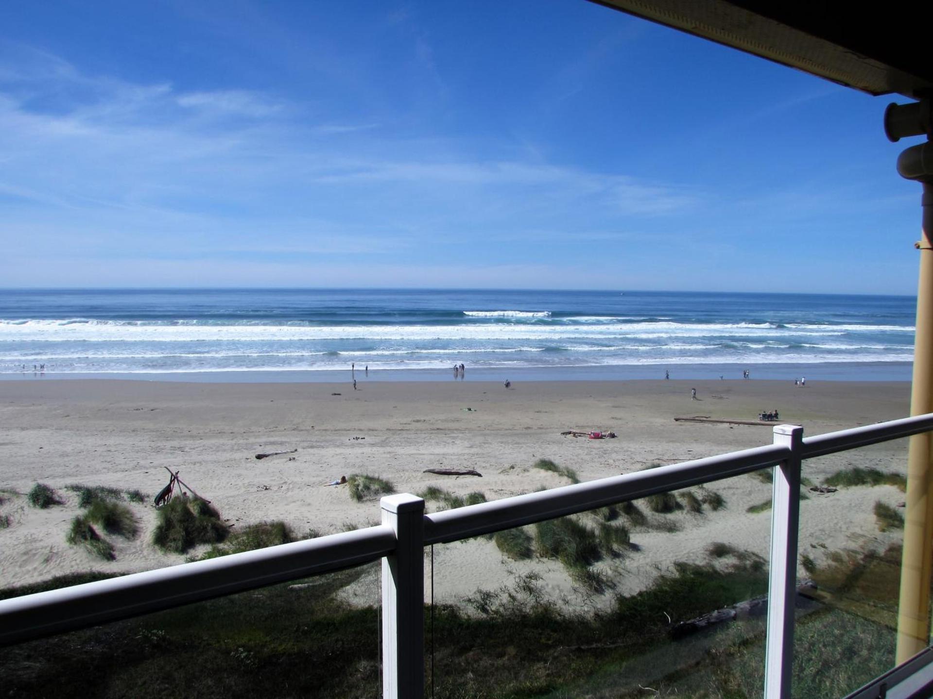 Driftwood Shores Resort photo 4