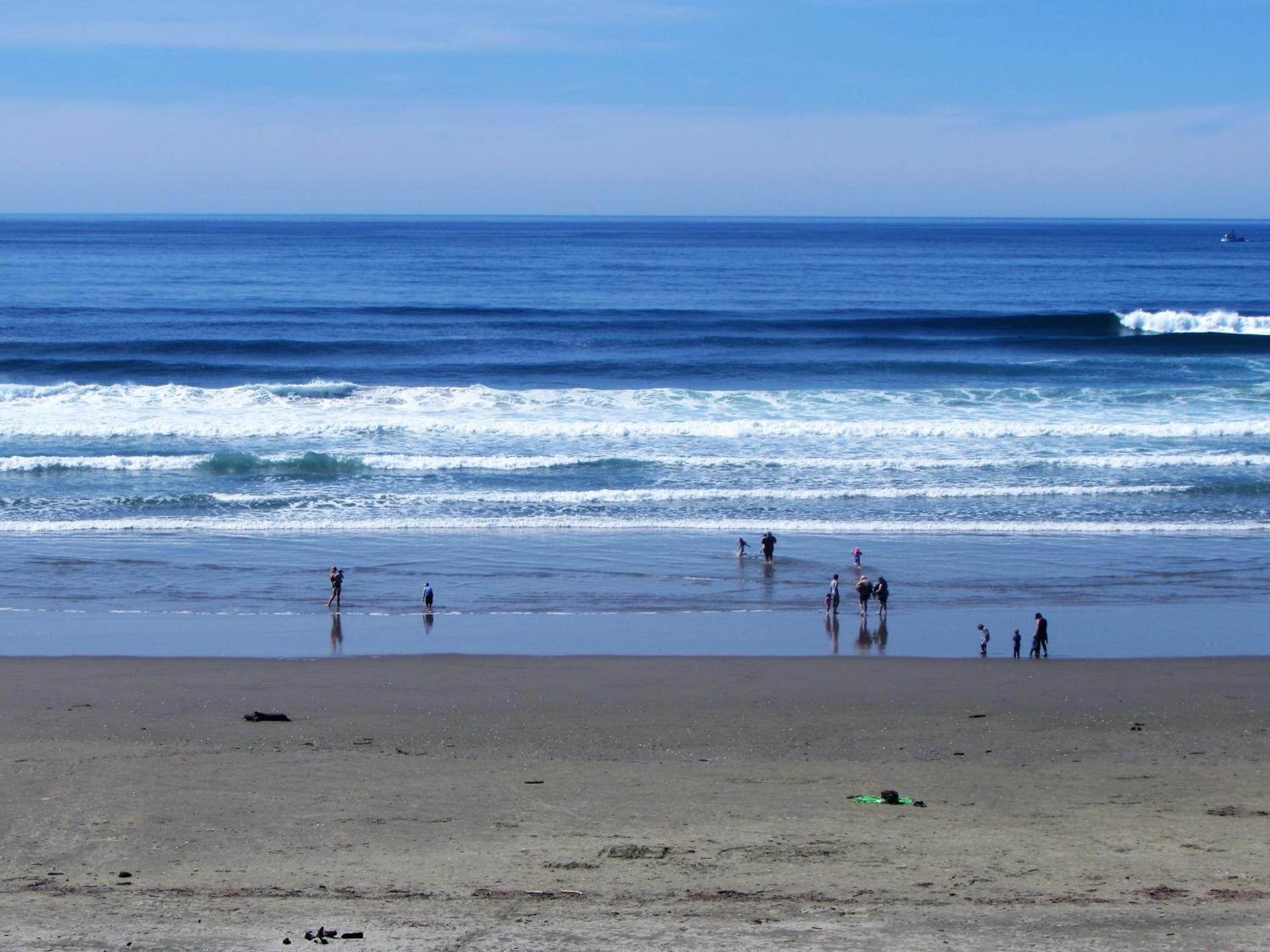 Driftwood Shores Resort photo 2