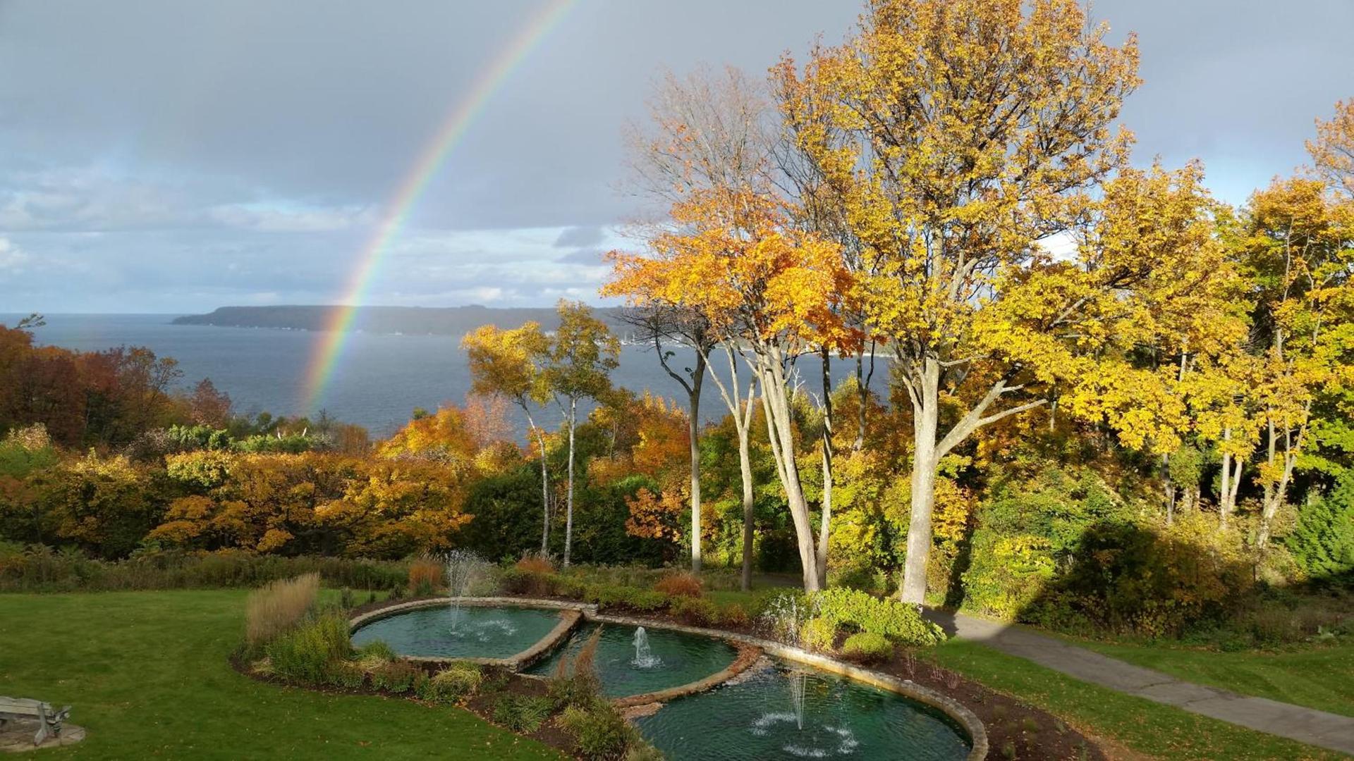 Country House Resort photo 21