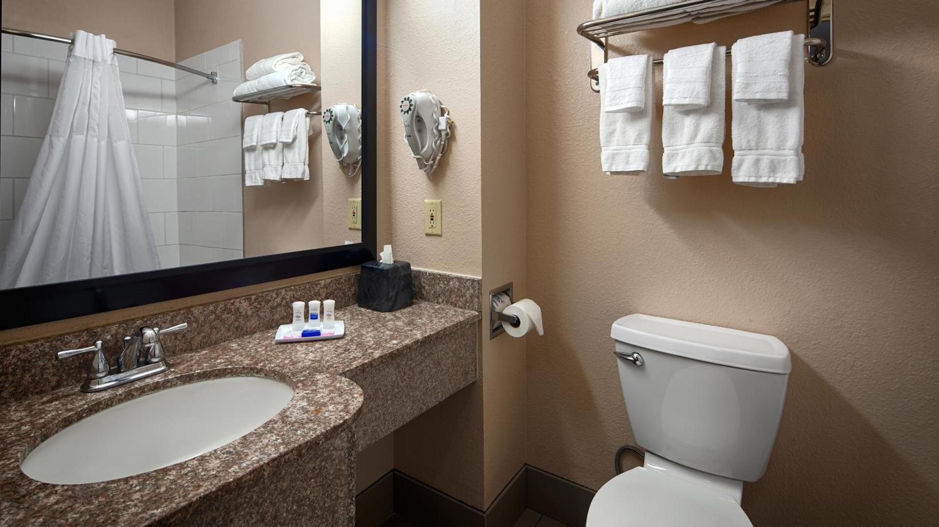 Best Western Plus Kalamazoo Suites photo 22