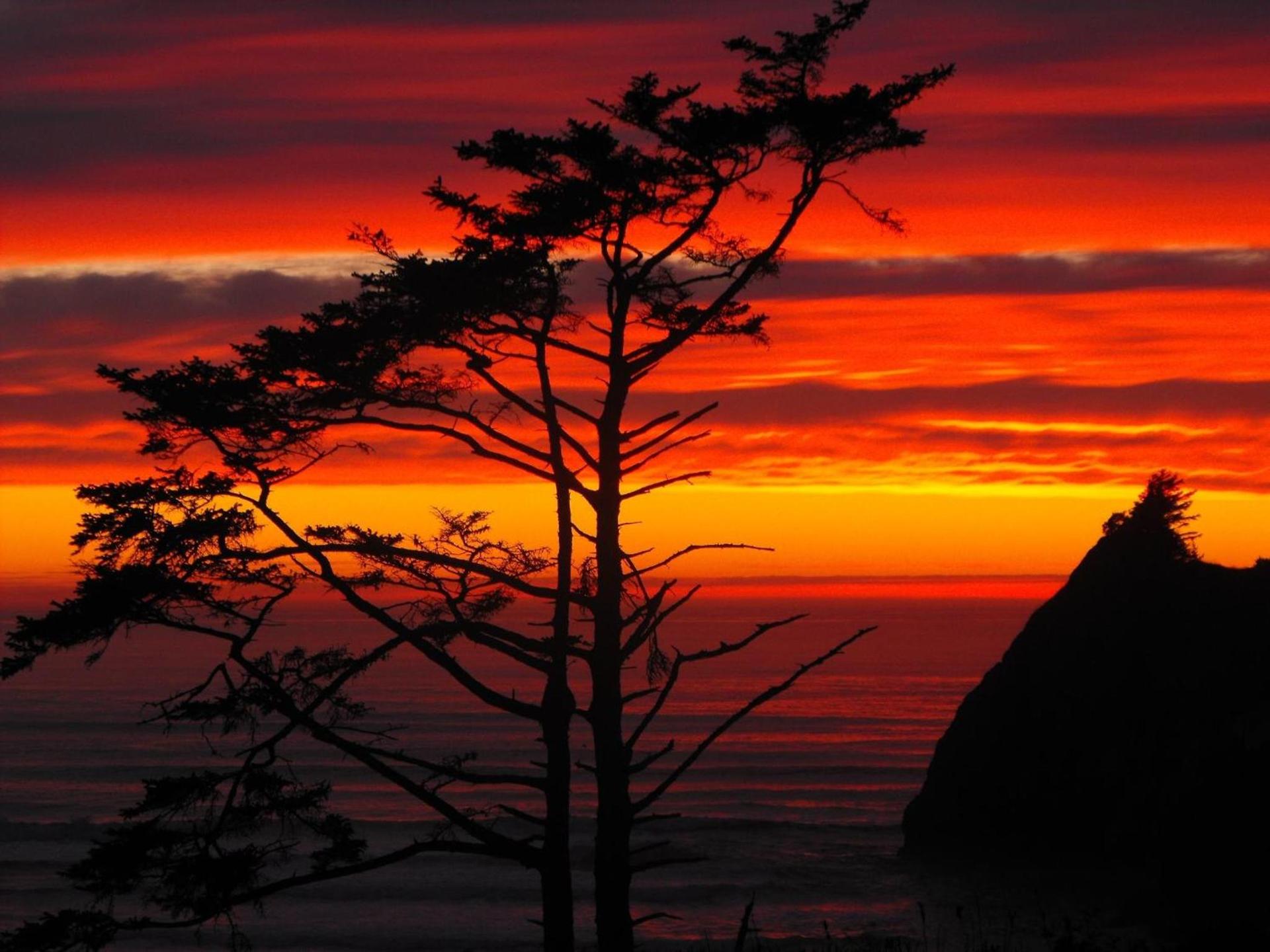 Agate Beach Motel photo 31