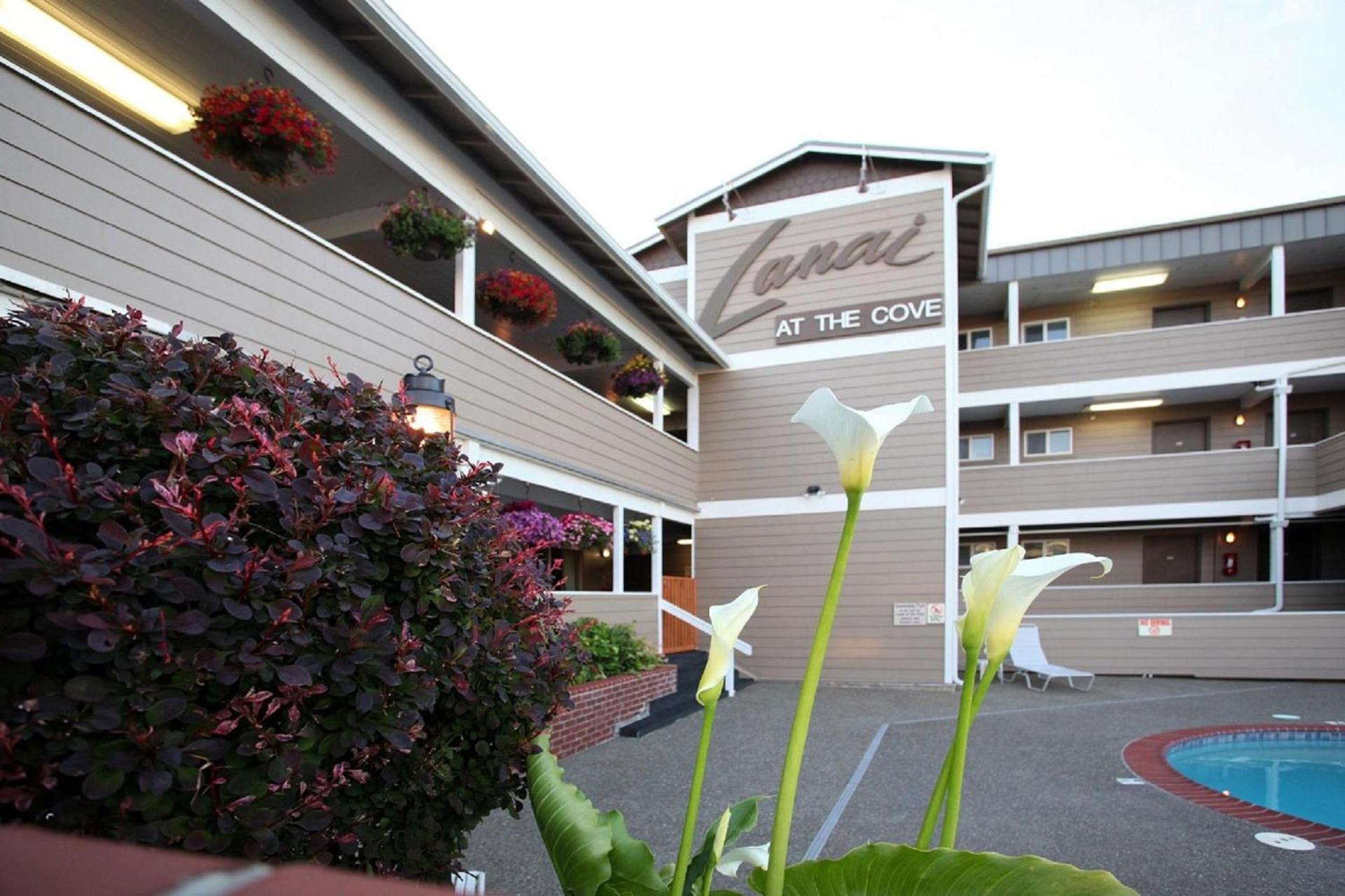 Lanai at the Cove photo 8