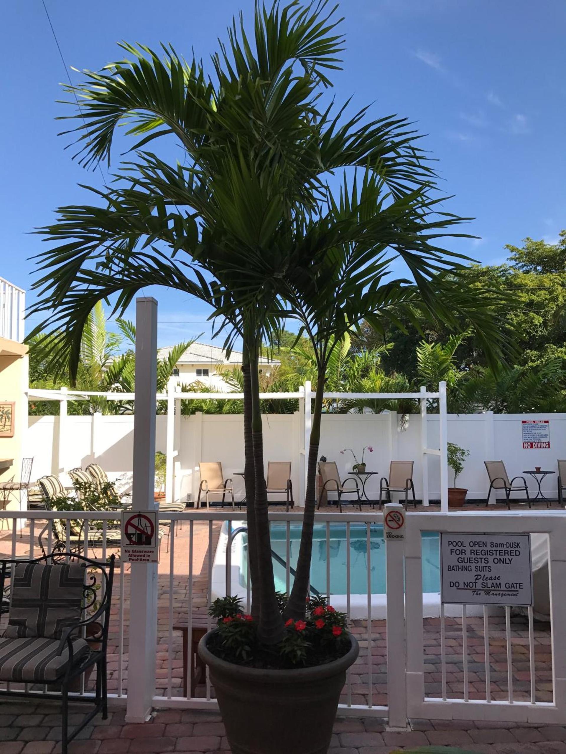 The Big Coconut Guesthouse - Gay Men's Resort photo 7