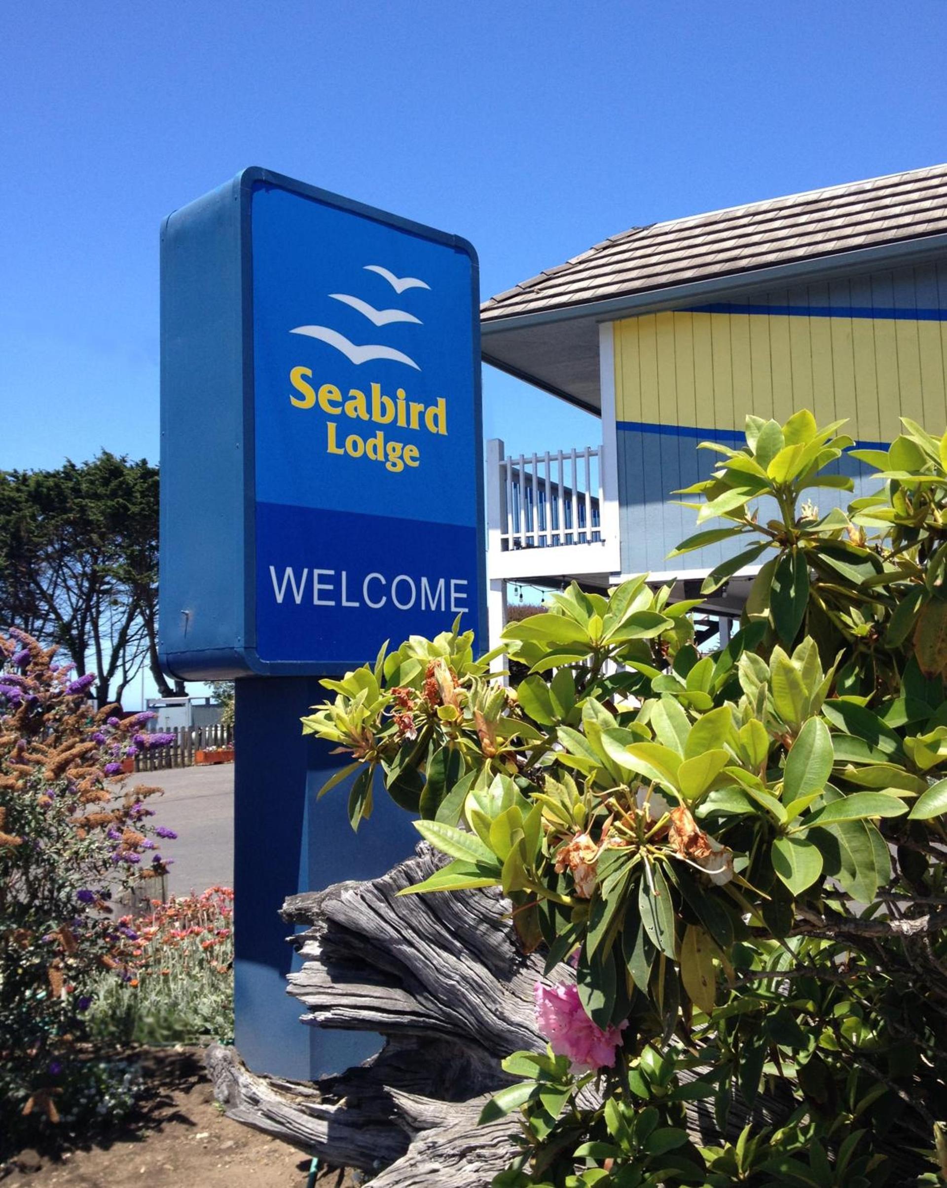 Seabird Lodge Fort Bragg photo 43