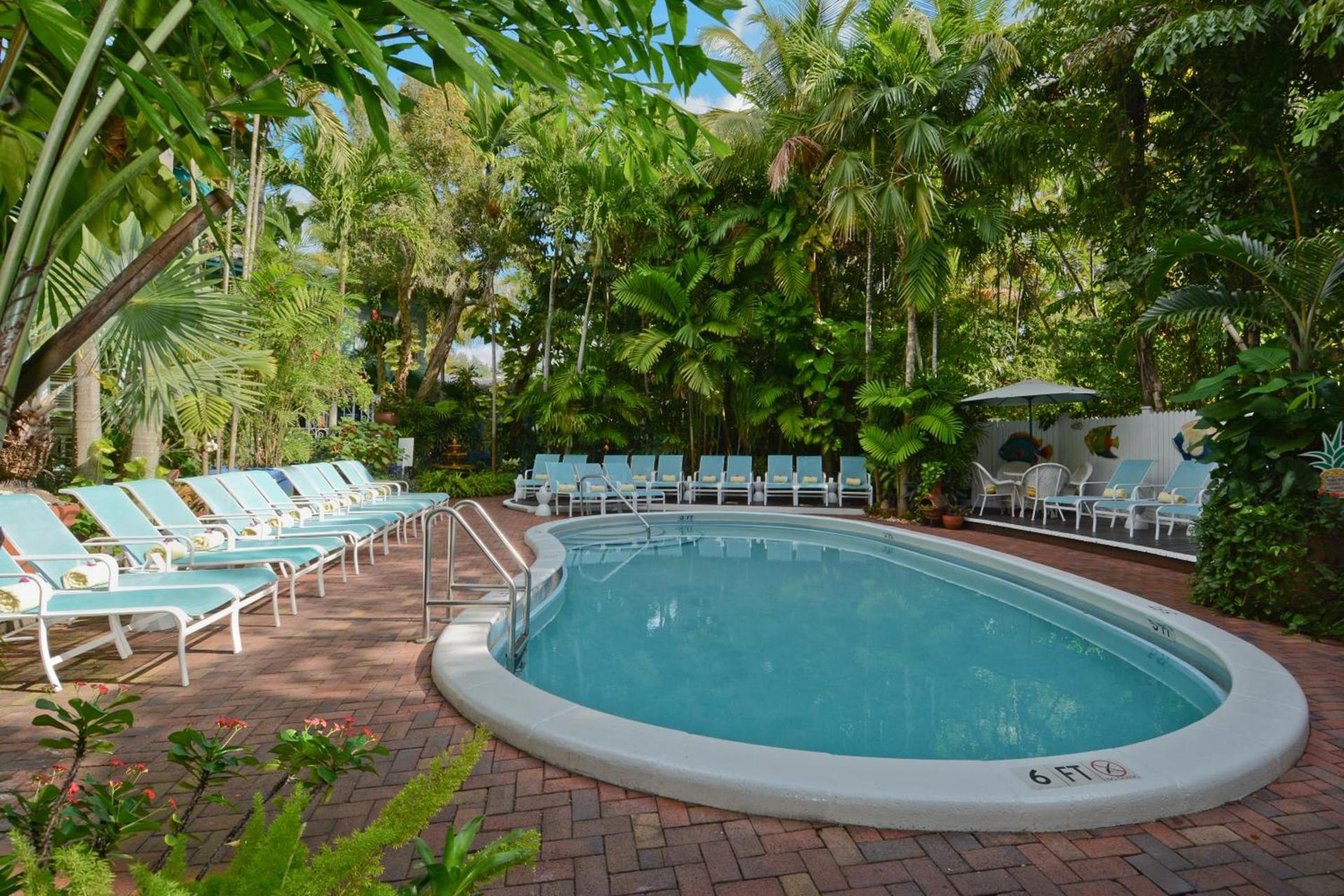 Pineapple Point Guesthouse & Resort - Gay Men's Resort photo 18