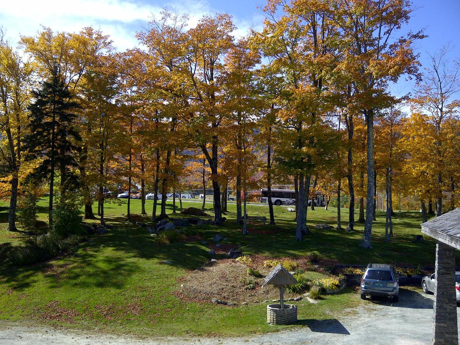 Cascades Lodge photo 12