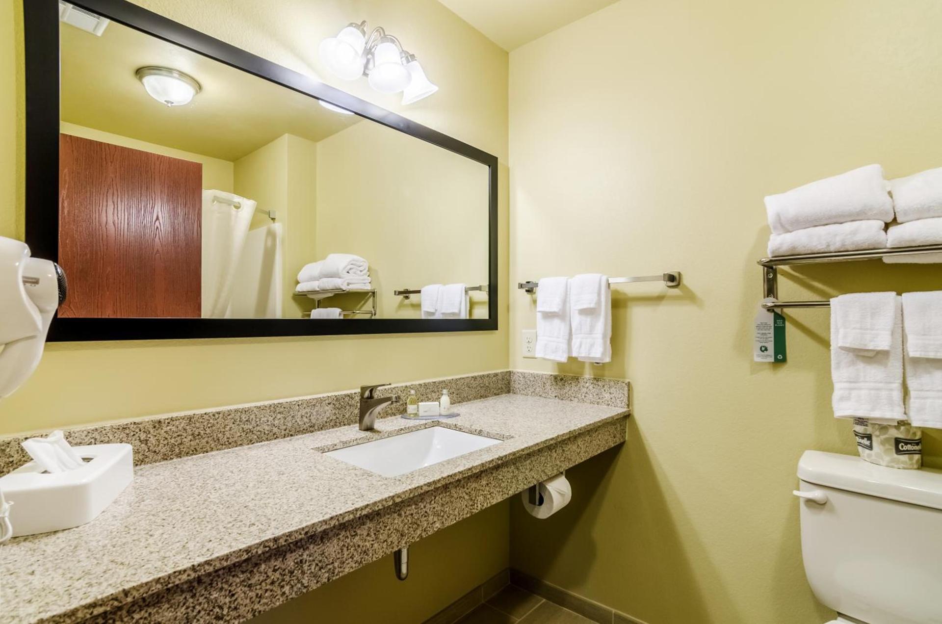 Cobblestone Inn & Suites - Oberlin photo 27