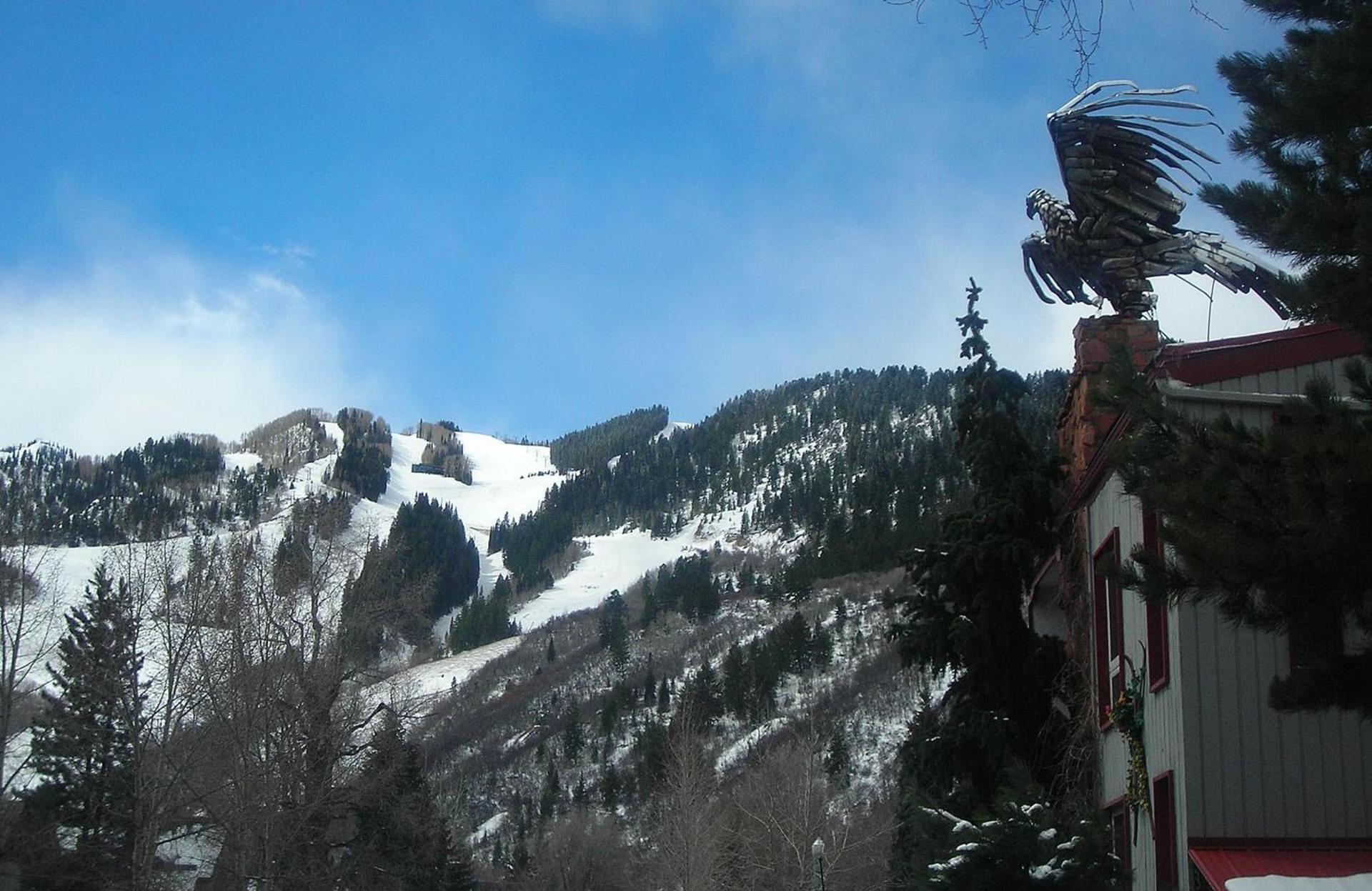 Tyrolean Lodge photo 30