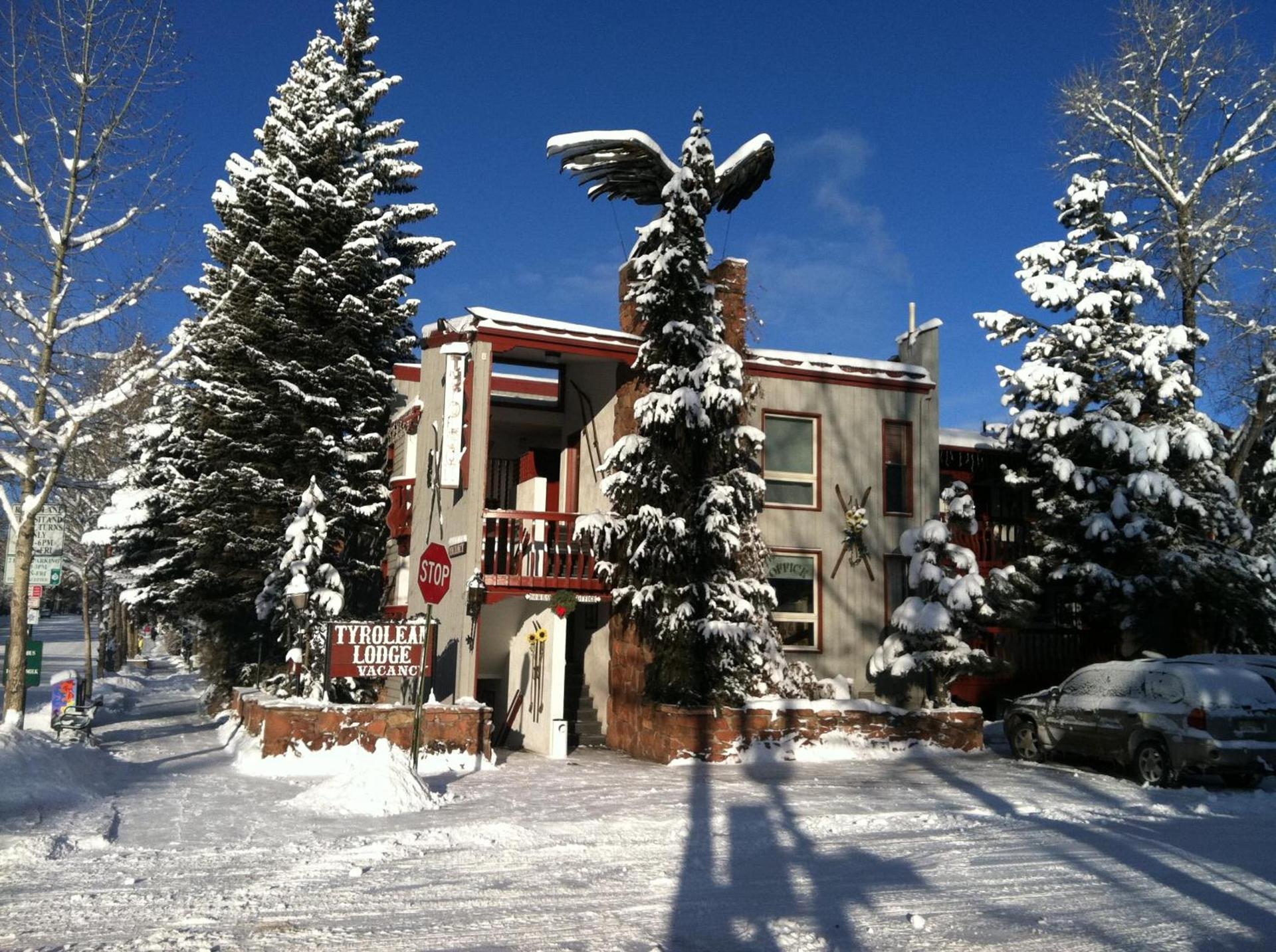 Tyrolean Lodge photo 28