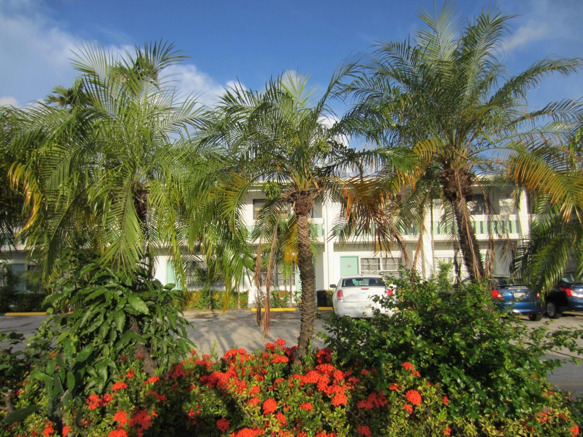 Shalimar Motel photo 11